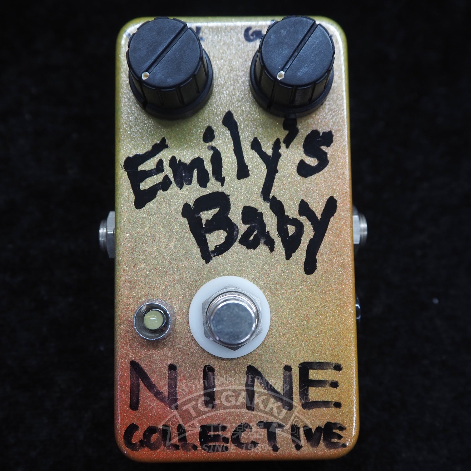 Emily's Baby - TC楽器 - TCGAKKI