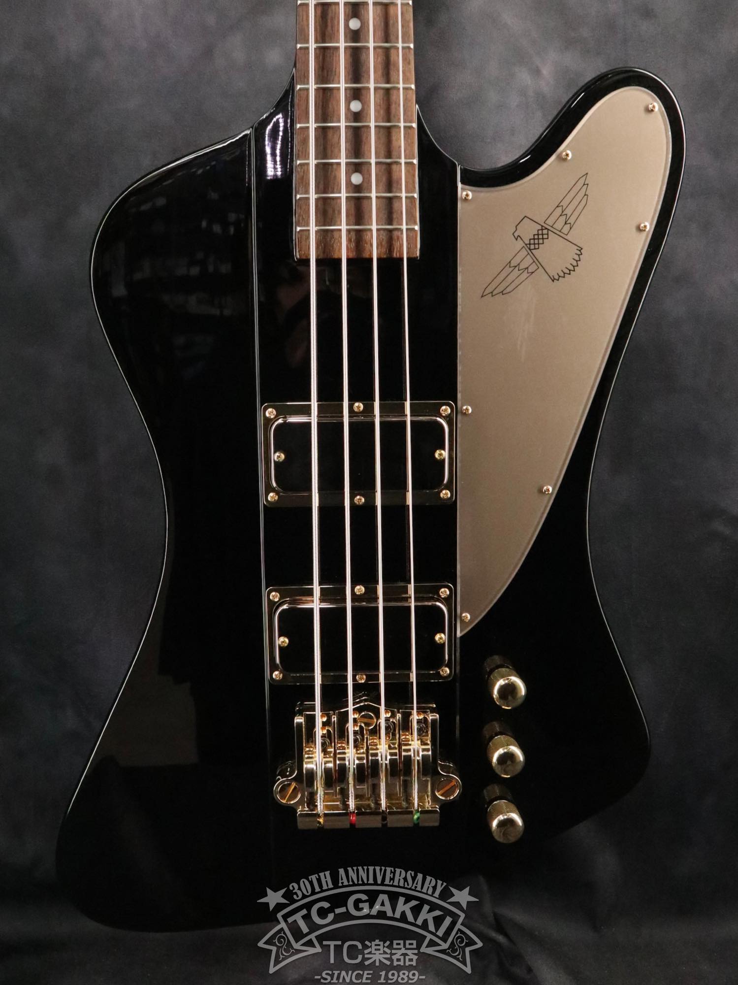 Epiphone 2024 Rex Brown Thunderbird - TC楽器 - TCGAKKI