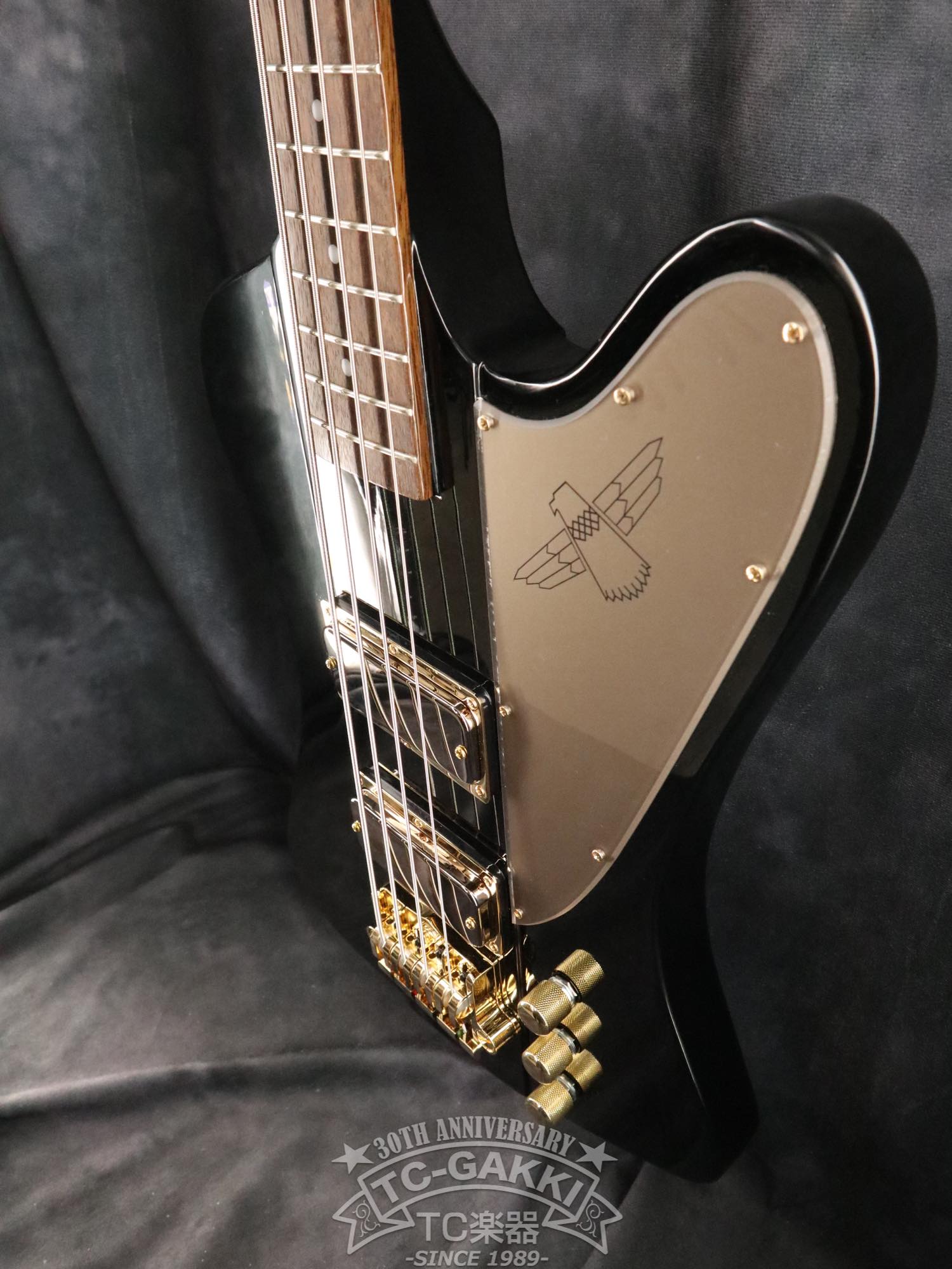 Epiphone 2024 Rex Brown Thunderbird - TC楽器 - TCGAKKI