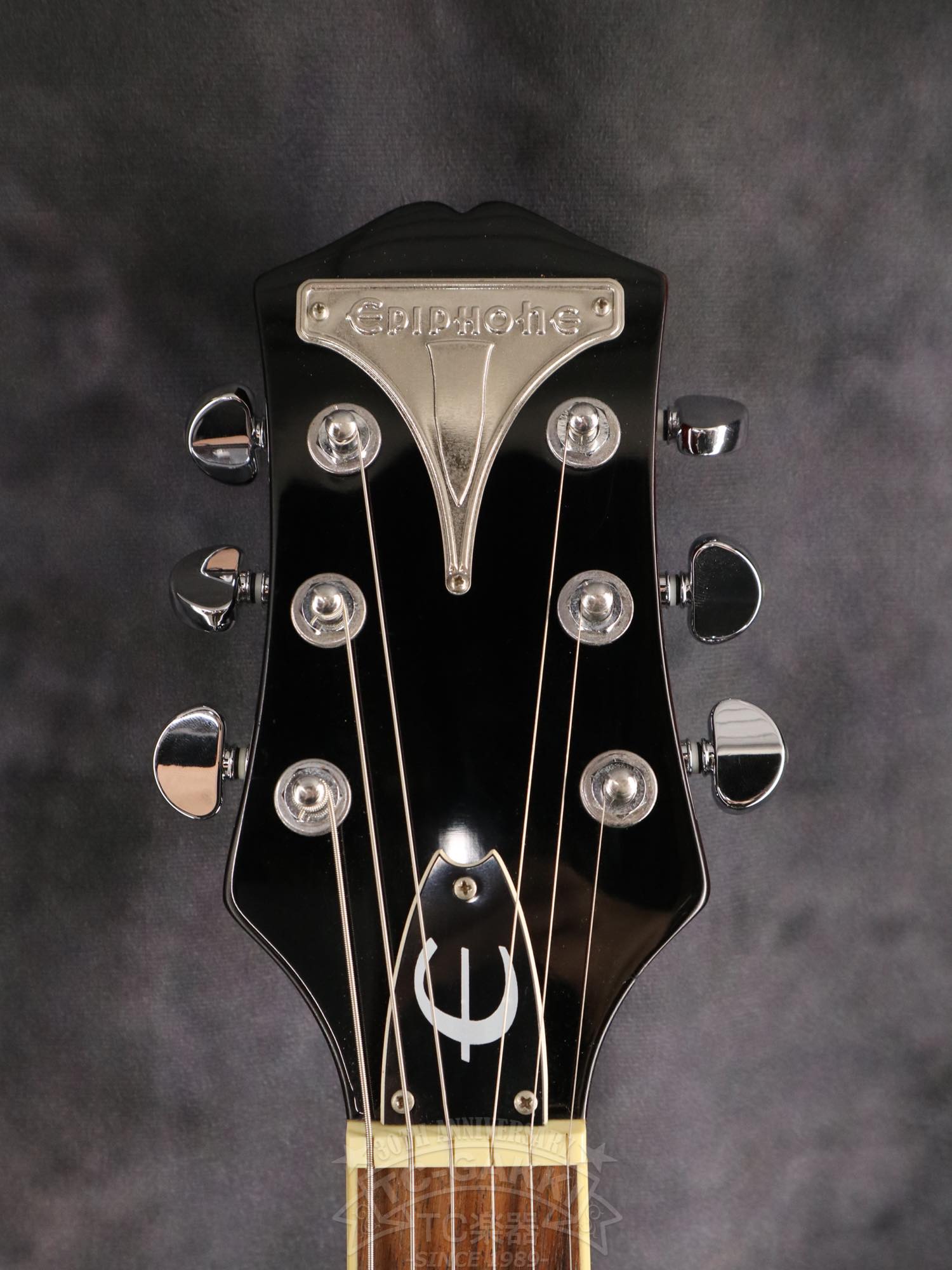 Epiphone Wildkat - TC楽器 - TCGAKKI