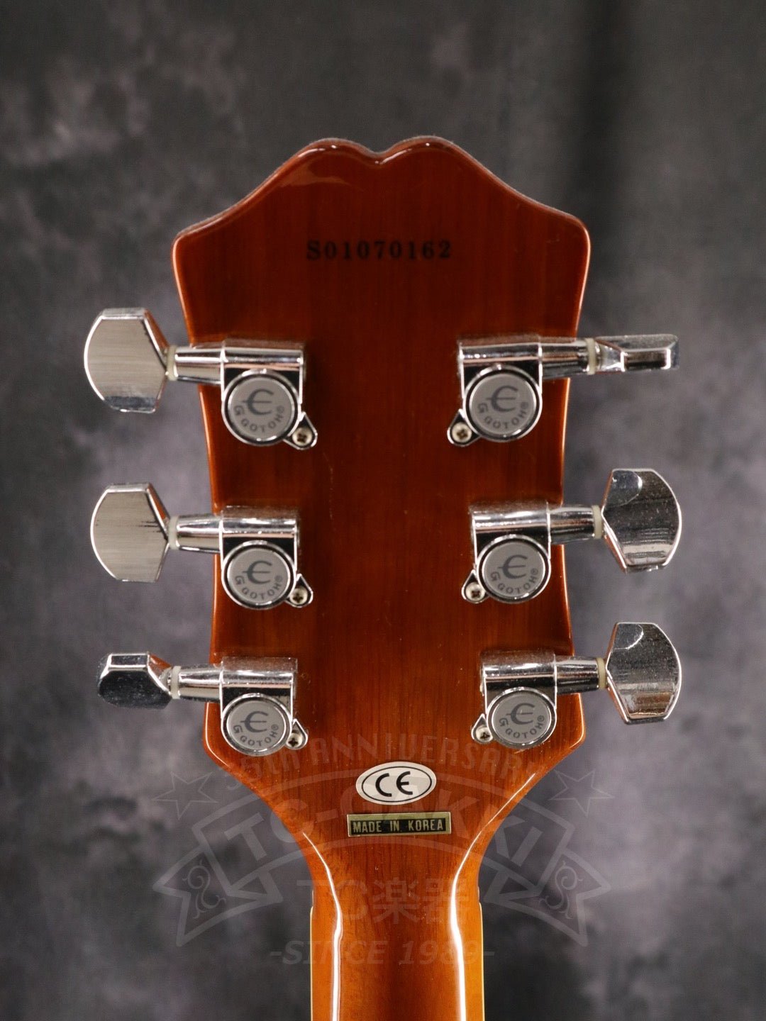 Epiphone Wildkat - TC楽器 - TCGAKKI