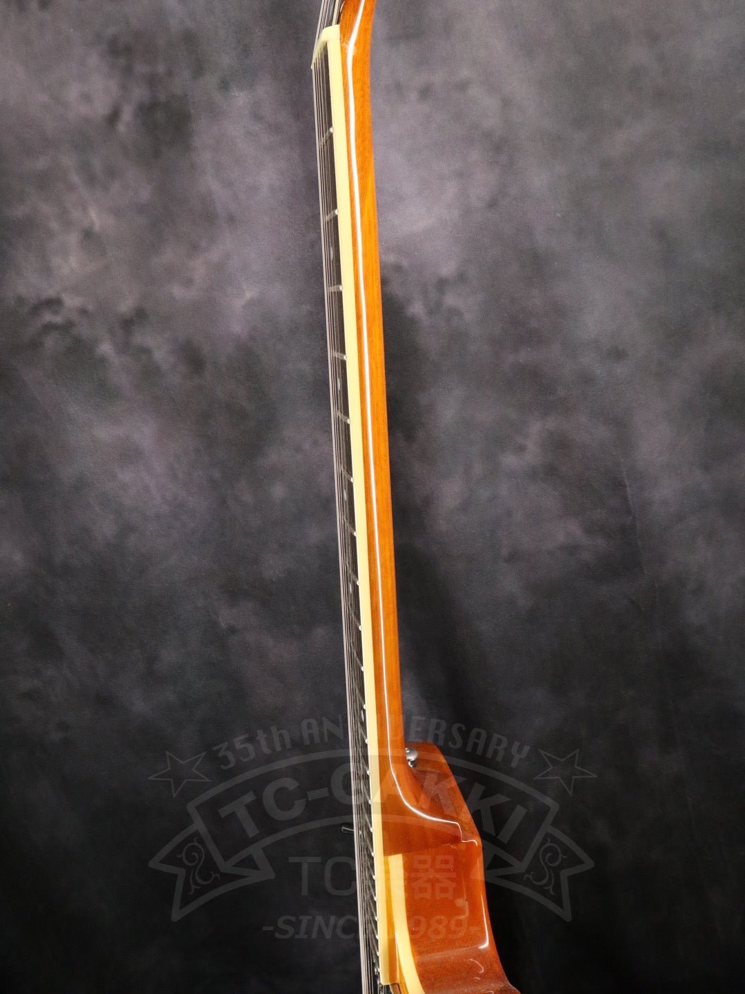 Epiphone Wildkat - TC楽器 - TCGAKKI