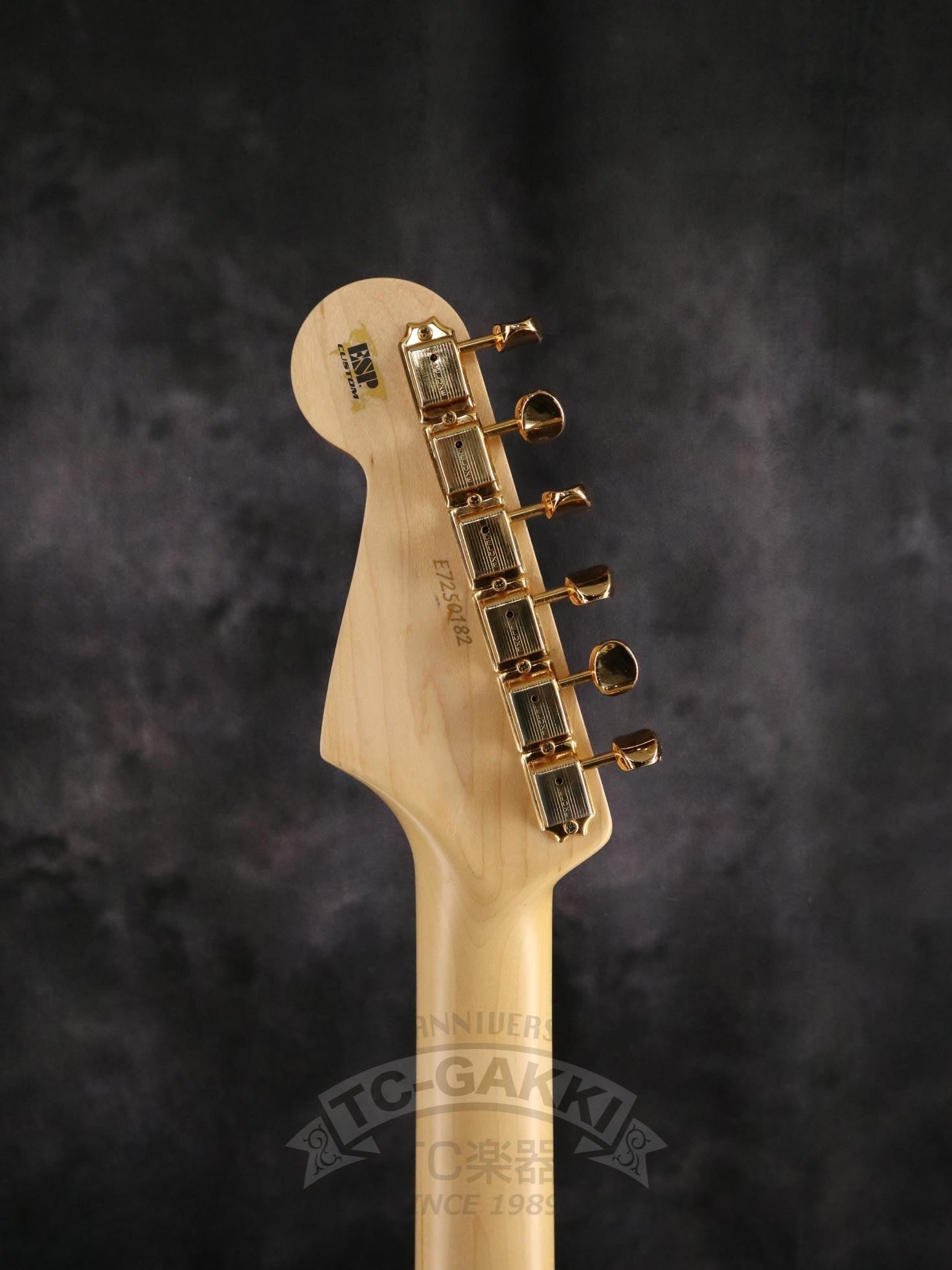 ESP Order Made ST Hard Tail Type - TC楽器 - TCGAKKI