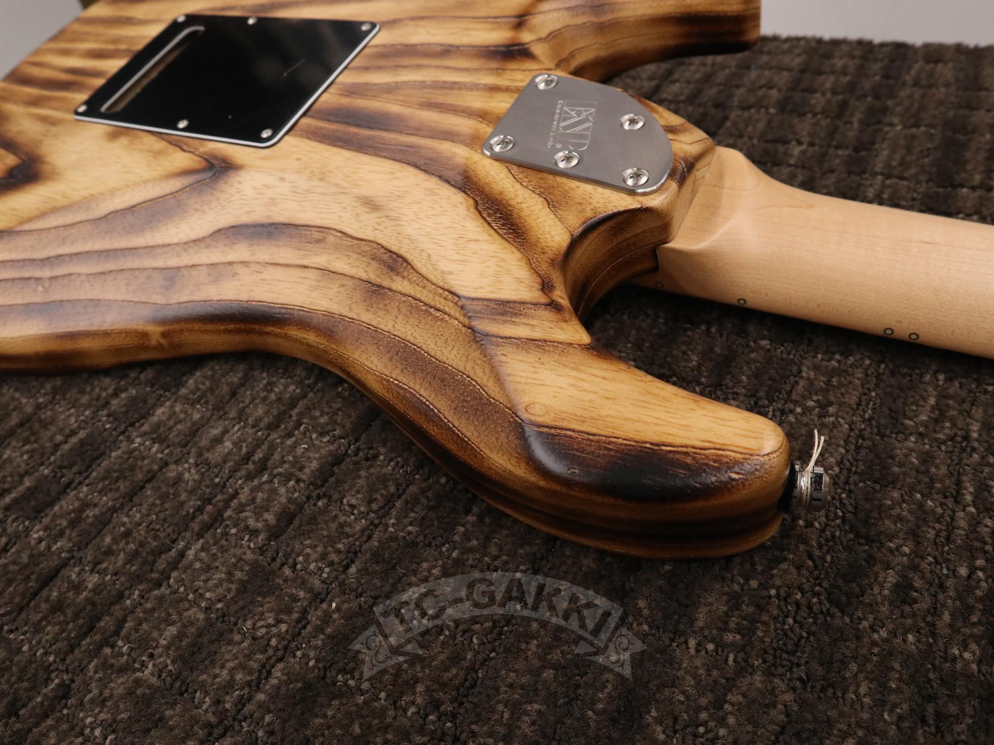 ESP SNAPPER - AS - TC楽器 - TCGAKKI