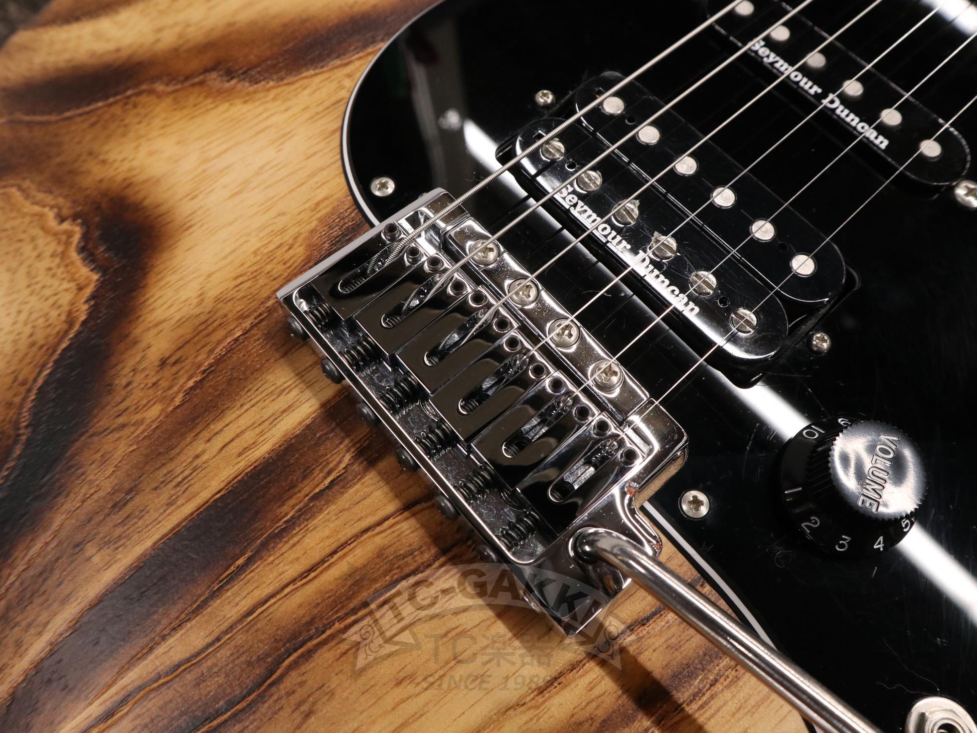 ESP SNAPPER - AS - TC楽器 - TCGAKKI