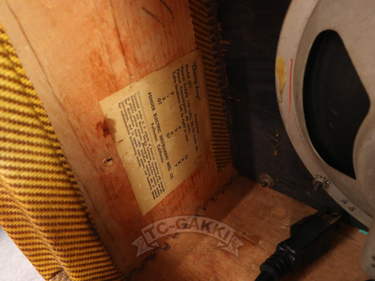 Fender 1959 Champ 5F1 - TC楽器 - TCGAKKI