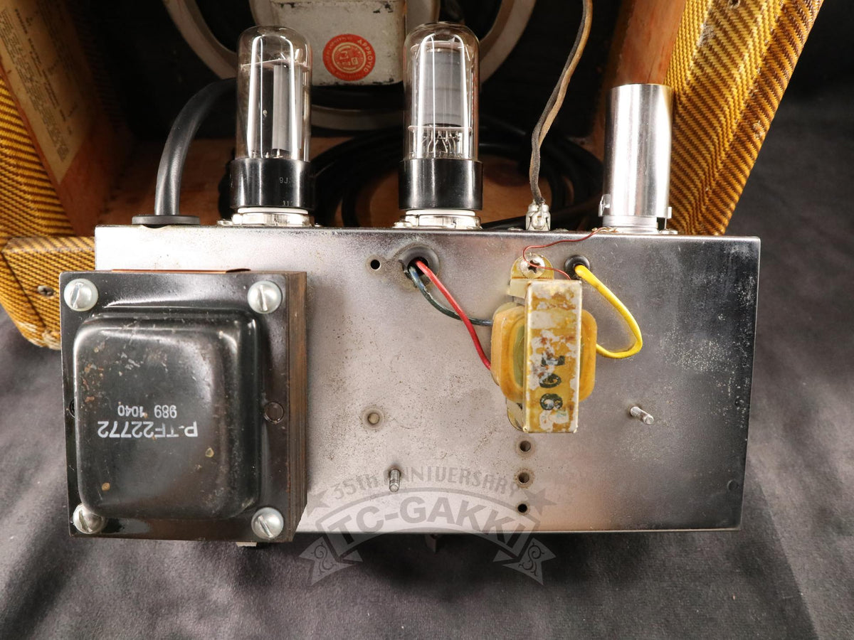 Fender 1959 Champ 5F1 - TC楽器 - TCGAKKI