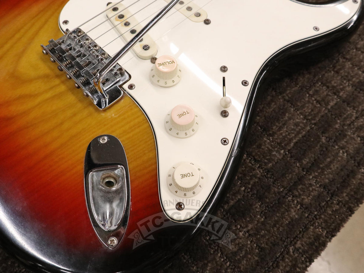 Fender 1979 Stratocaster Ash / Rosewood - TC楽器 - TCGAKKI