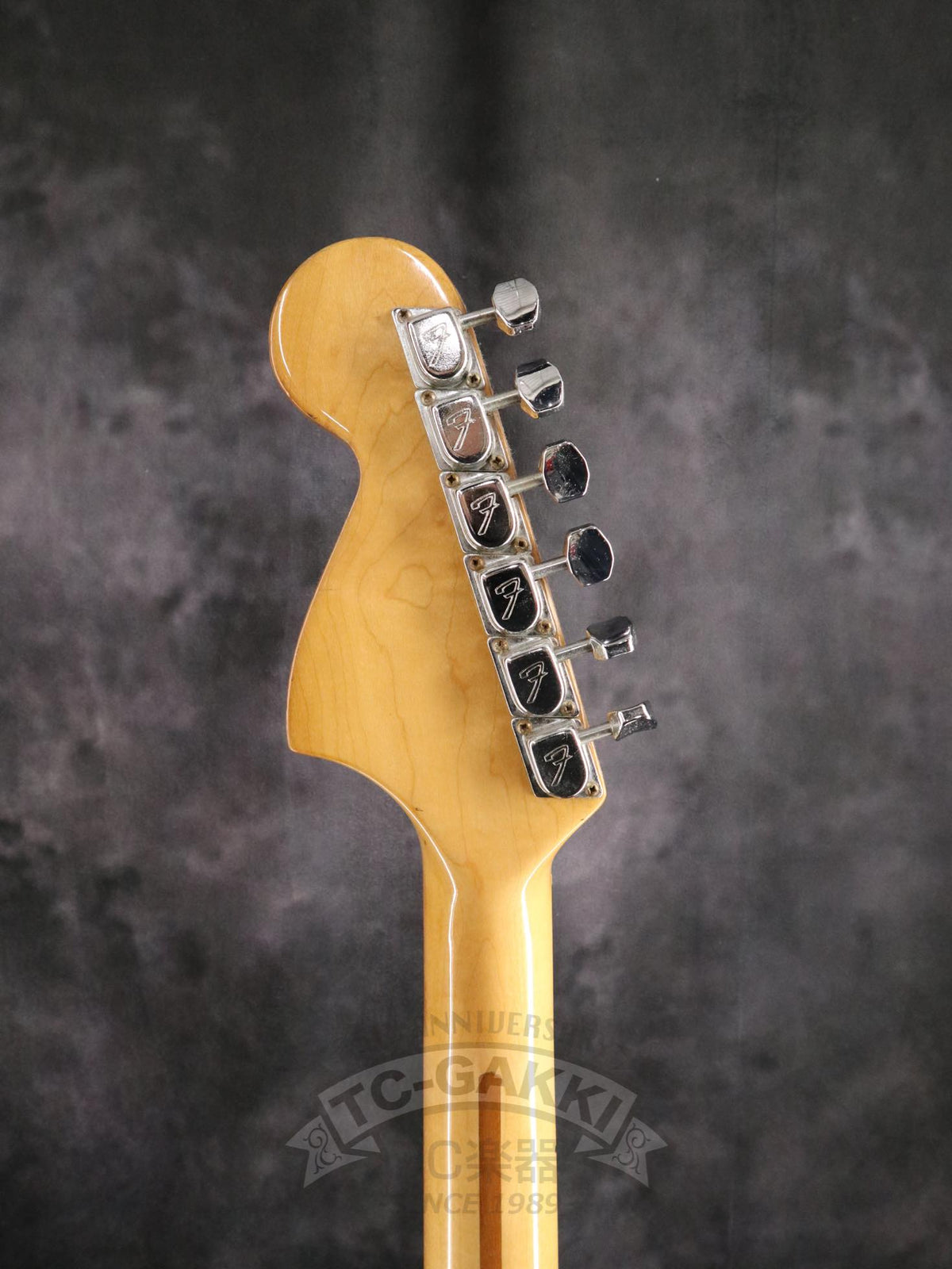 Fender 1979 Stratocaster Ash / Rosewood - TC楽器 - TCGAKKI