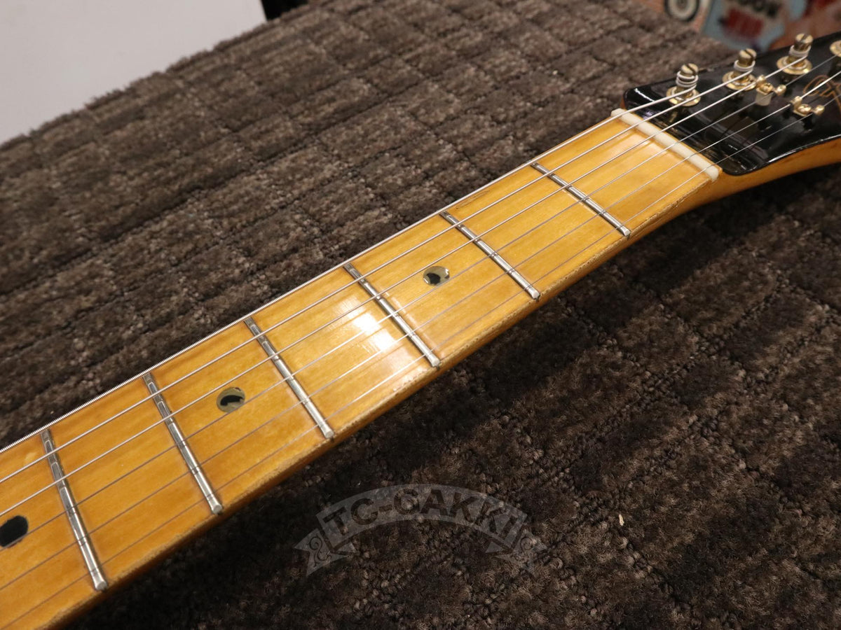 Fender 1981-1982 Collectors Edition Black & Gold Telecaster - TC楽器 - TCGAKKI