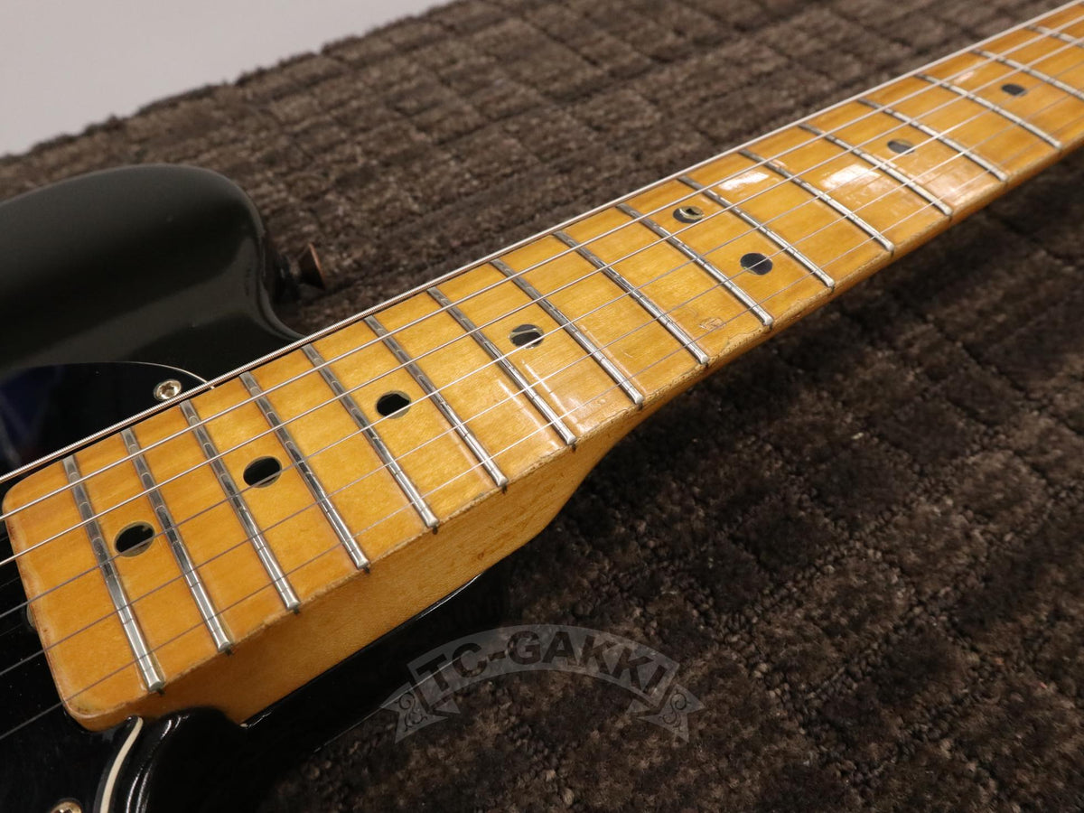 Fender 1981-1982 Collectors Edition Black & Gold Telecaster - TC楽器 - TCGAKKI