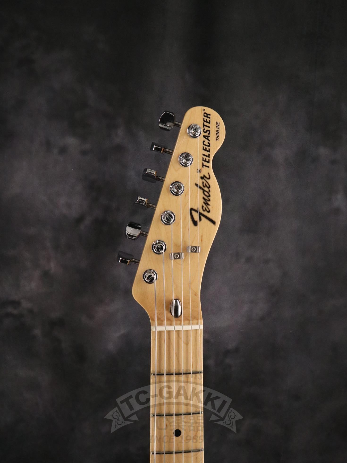Fender 2021 Made in Japan Traditional 70s Telecaster Thinline - TC楽器 - TCGAKKI