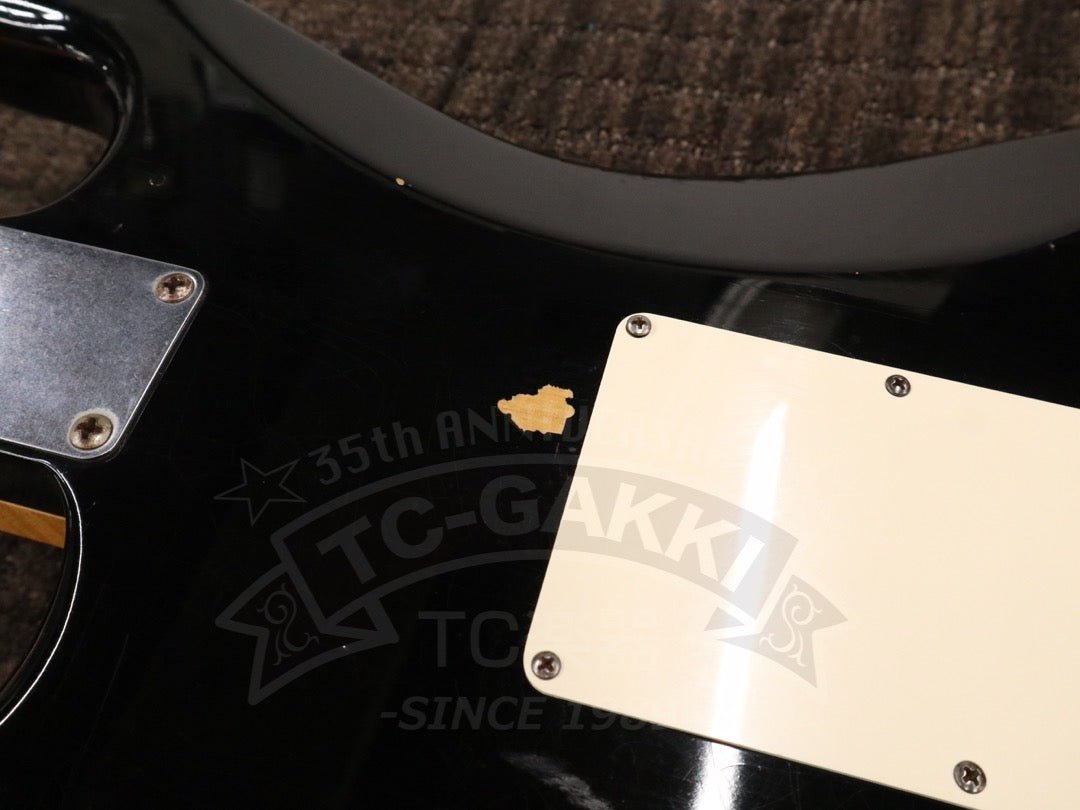 Fender Custom Shop 1960 Stratocaster Relic - TC楽器 - TCGAKKI