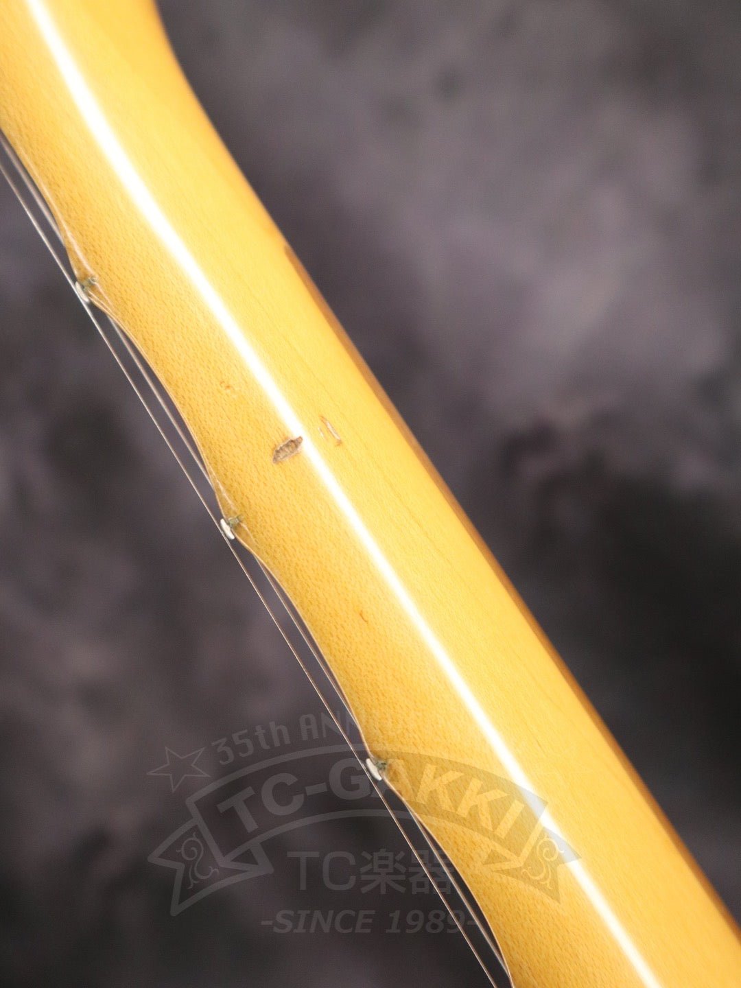 Fender Japan ST - YJM - TC楽器 - TCGAKKI