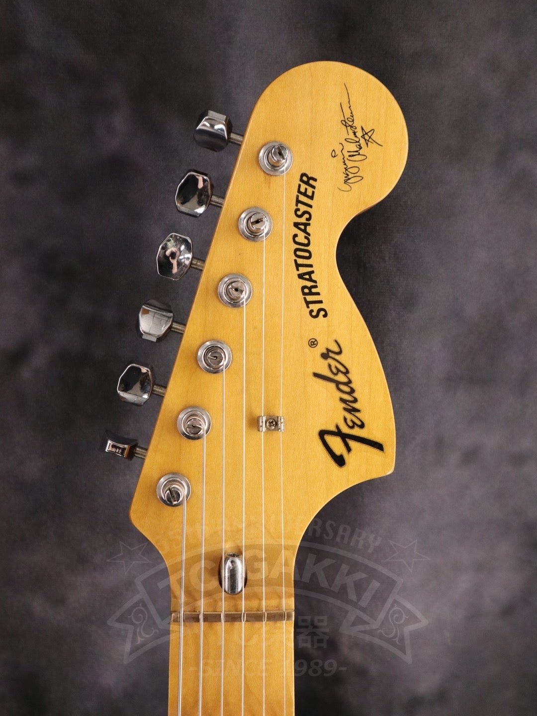 Fender Japan ST - YJM - TC楽器 - TCGAKKI