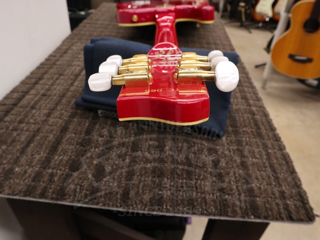 Fender Japan Terry-1 ANNIVERSARY Mod - TC楽器 - TCGAKKI