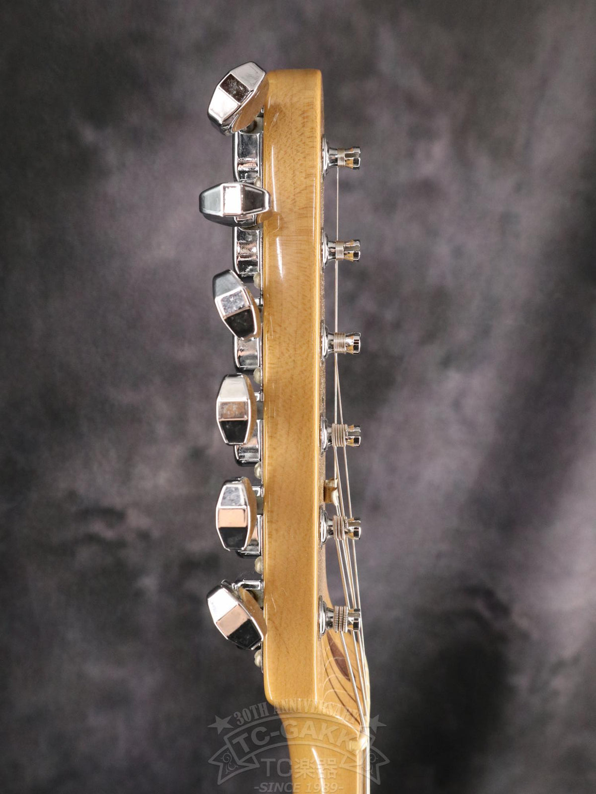 Fender Mexico 1969 Telecaster Thinline - TC楽器 - TCGAKKI