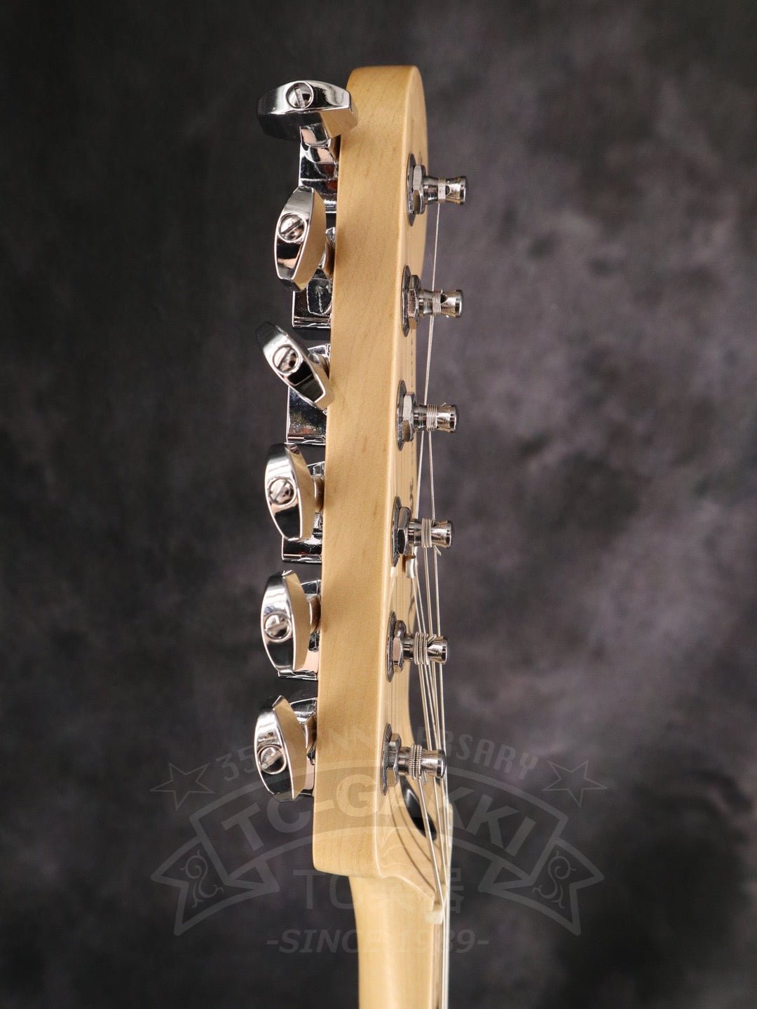 Fender Mexico Player Stratocaster HSS - TC楽器 - TCGAKKI