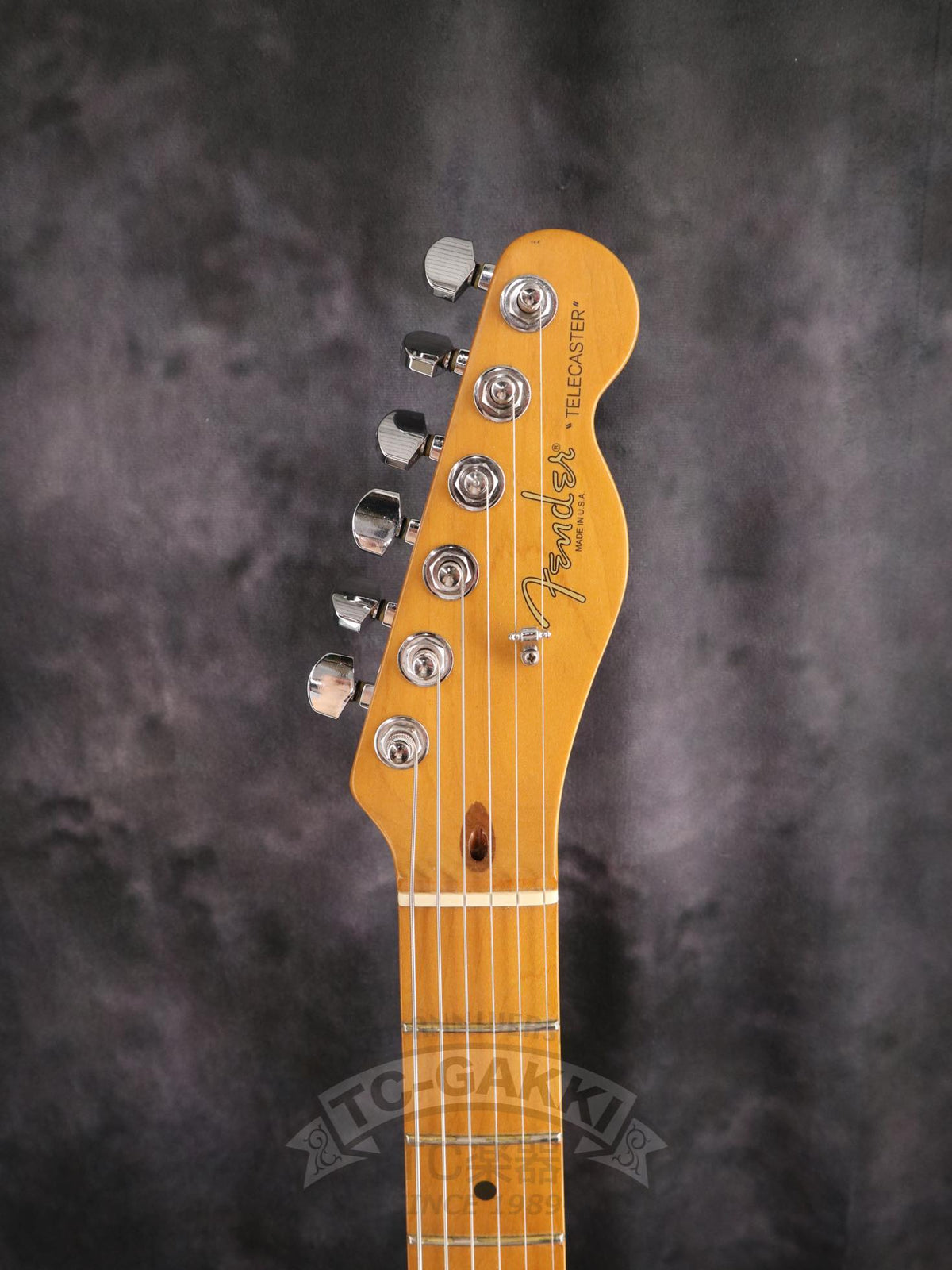 Fender USA 1997 90s Tele Thinline American Special Series - TC楽器 - TCGAKKI