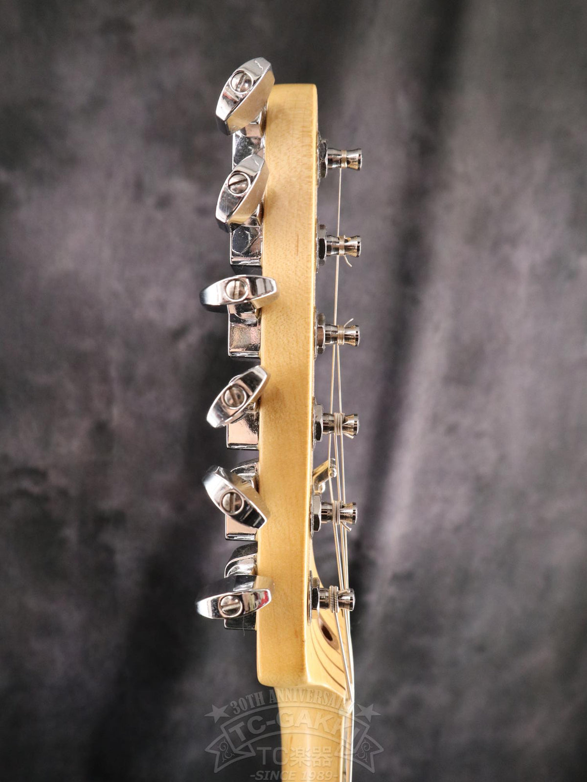 Fender USA American Special Telecaster - TC楽器 - TCGAKKI
