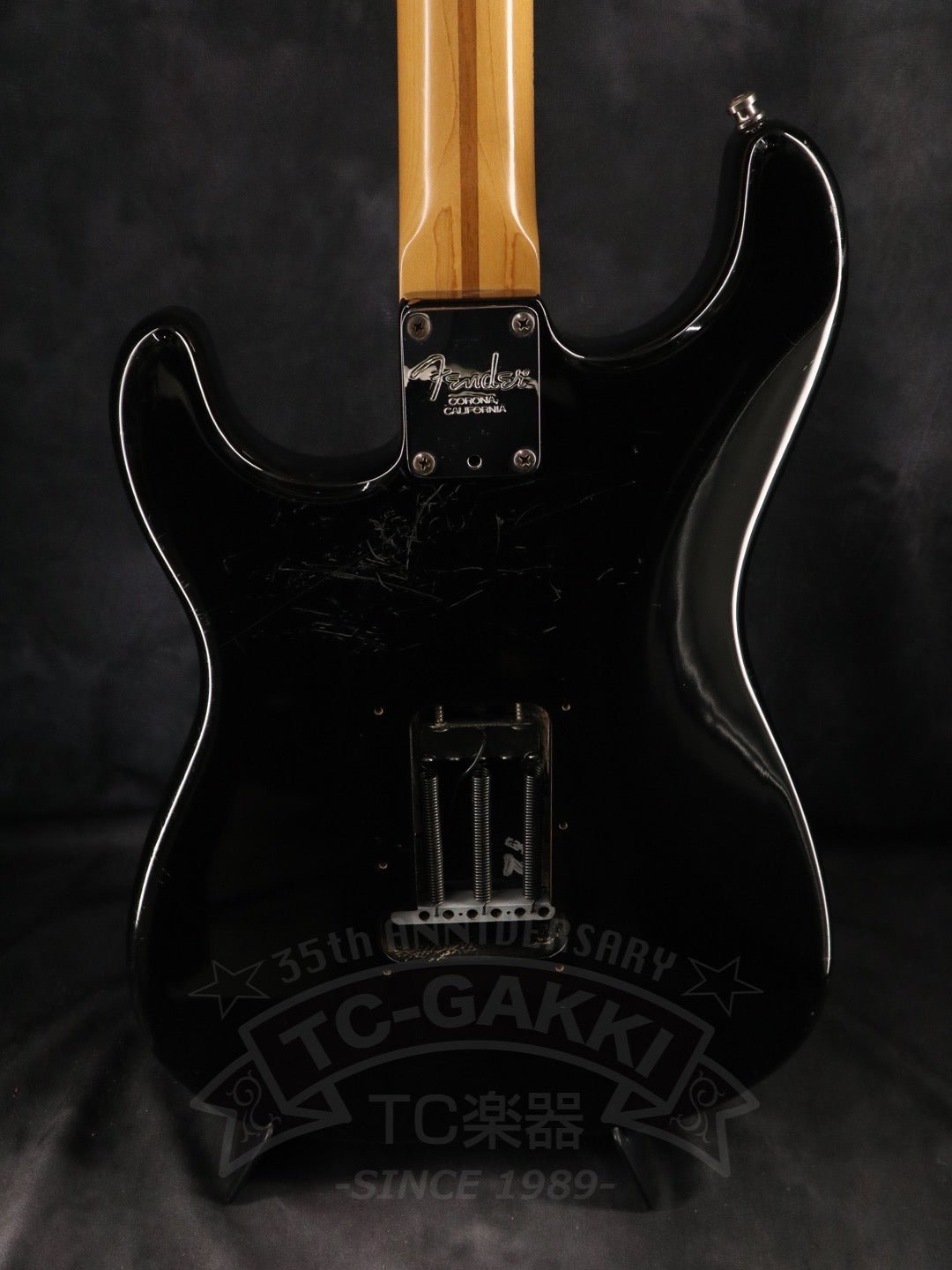 Fender USA American Standard Stratocaster - TC楽器 - TCGAKKI