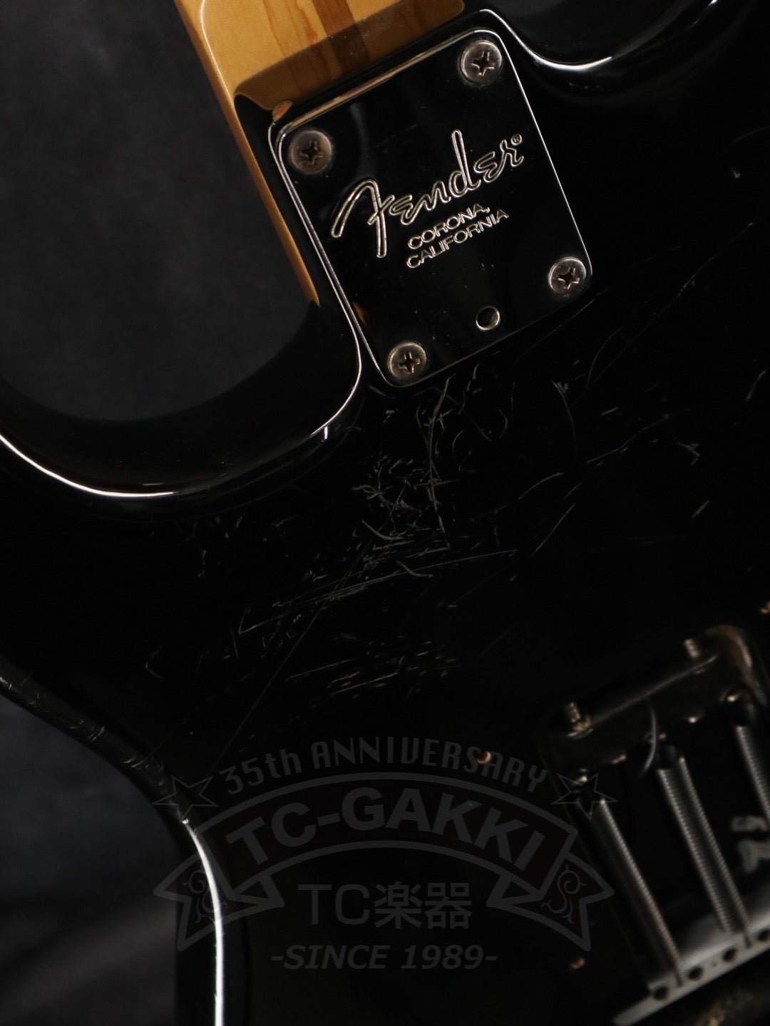 Fender USA American Standard Stratocaster - TC楽器 - TCGAKKI