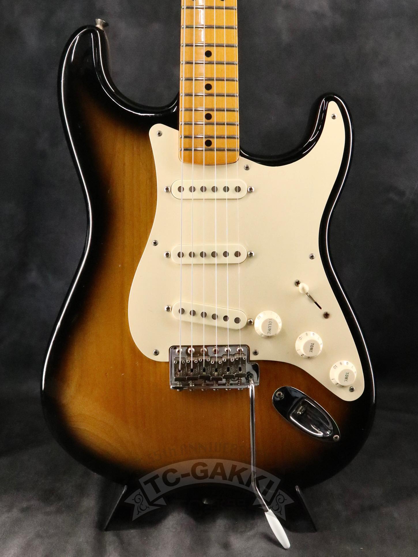 Fender USA Eric Johnson Stratocaster - TC楽器 - TCGAKKI