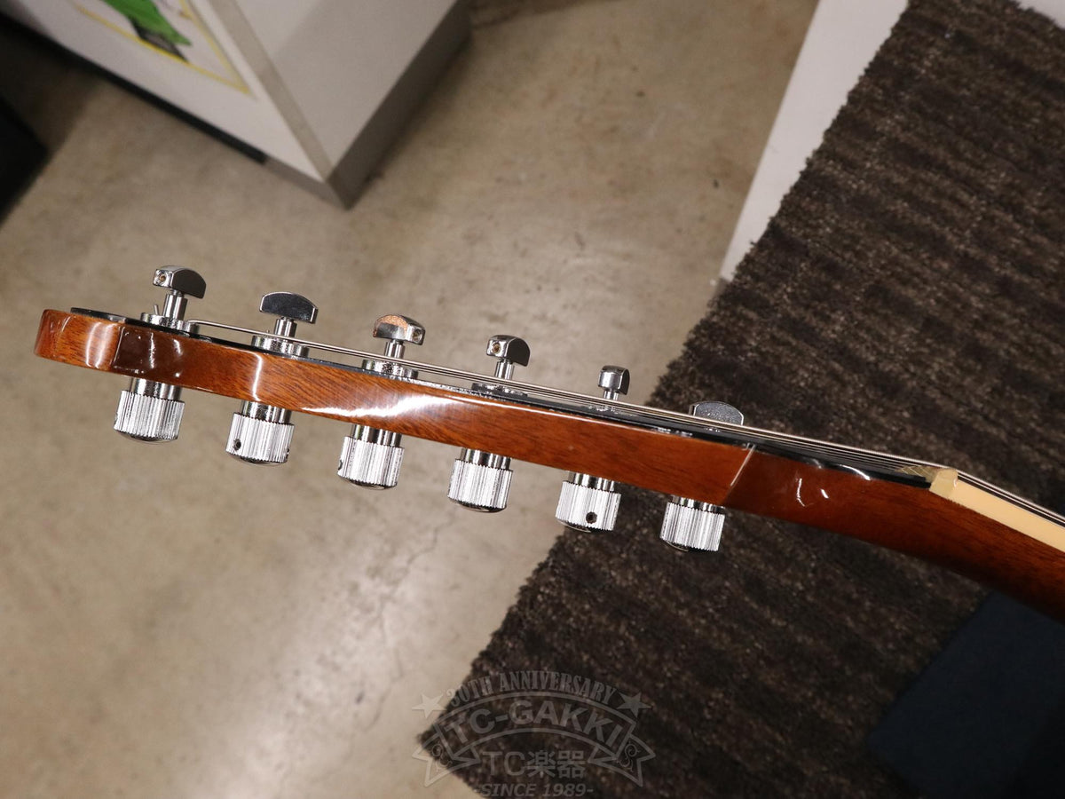 Firebird V 120th Anniversary - TC楽器 - TCGAKKI