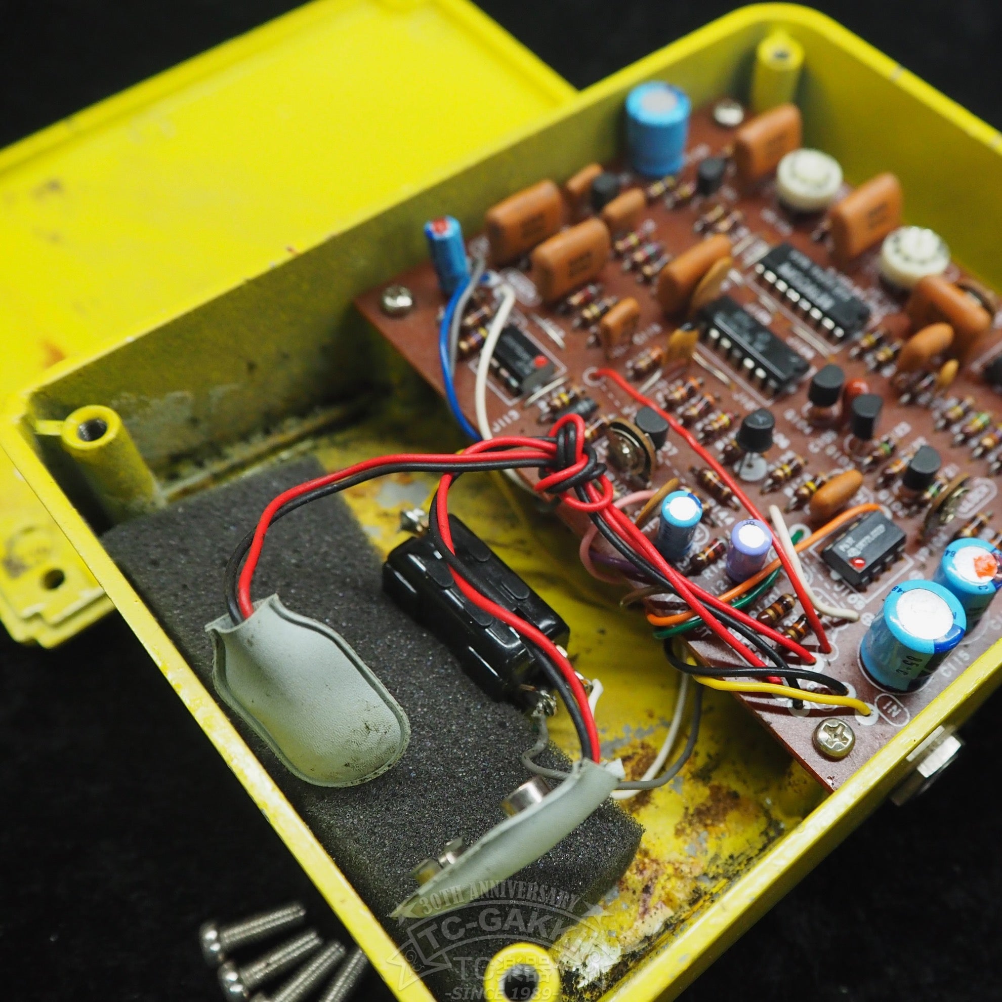 FL - 303 FLANGER (Early Model) - TC楽器 - TCGAKKI