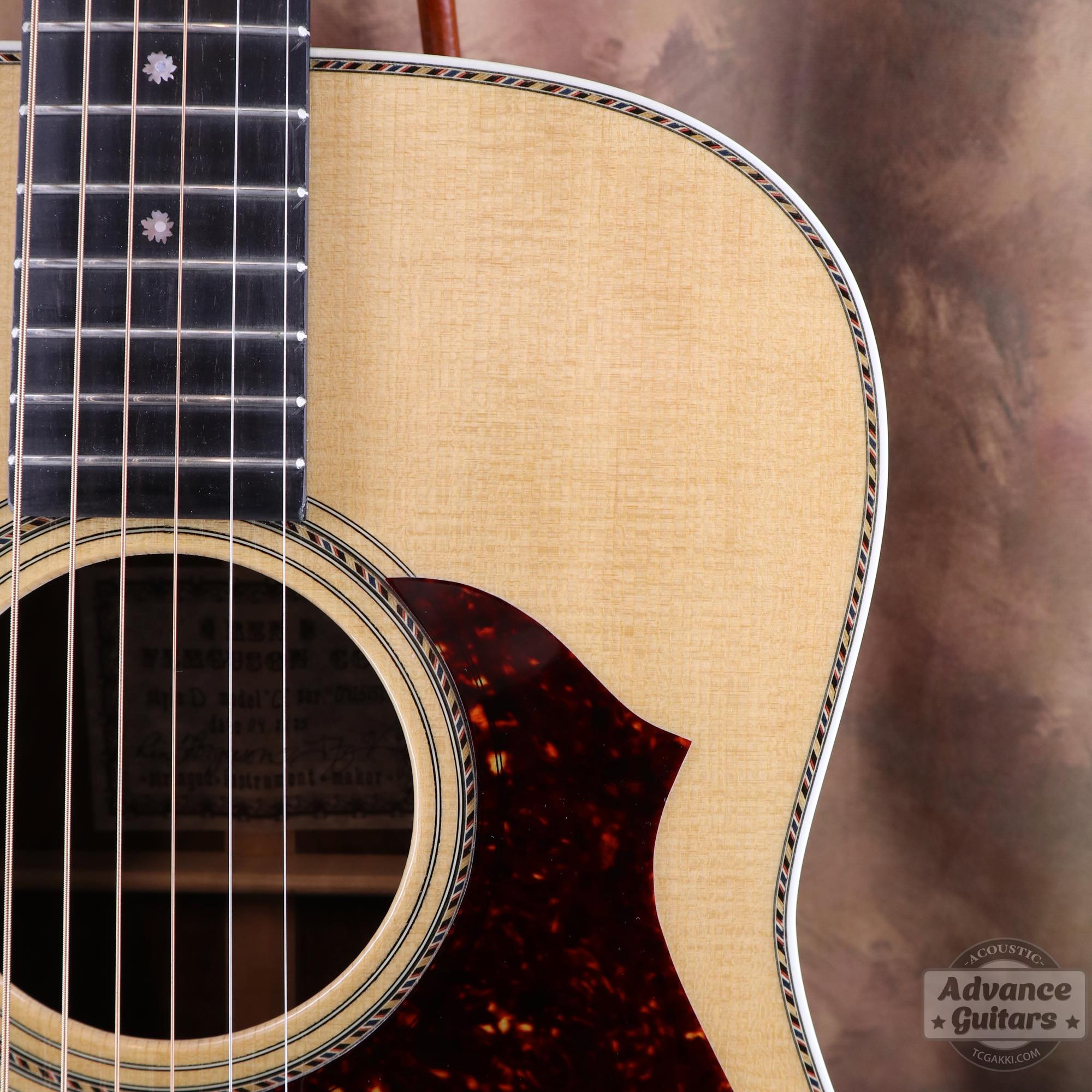 Flame Claro Walnut Dreadnought Advance Guitars Signature Model - TC楽器 - TCGAKKI
