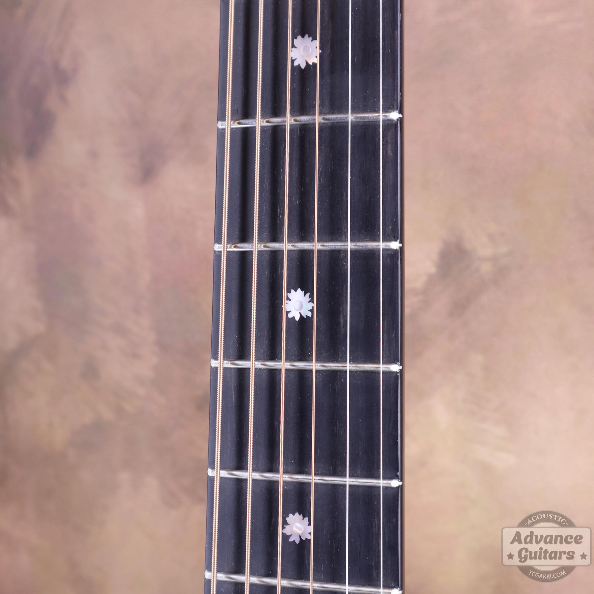 Flame Claro Walnut Dreadnought Advance Guitars Signature Model - TC楽器 - TCGAKKI