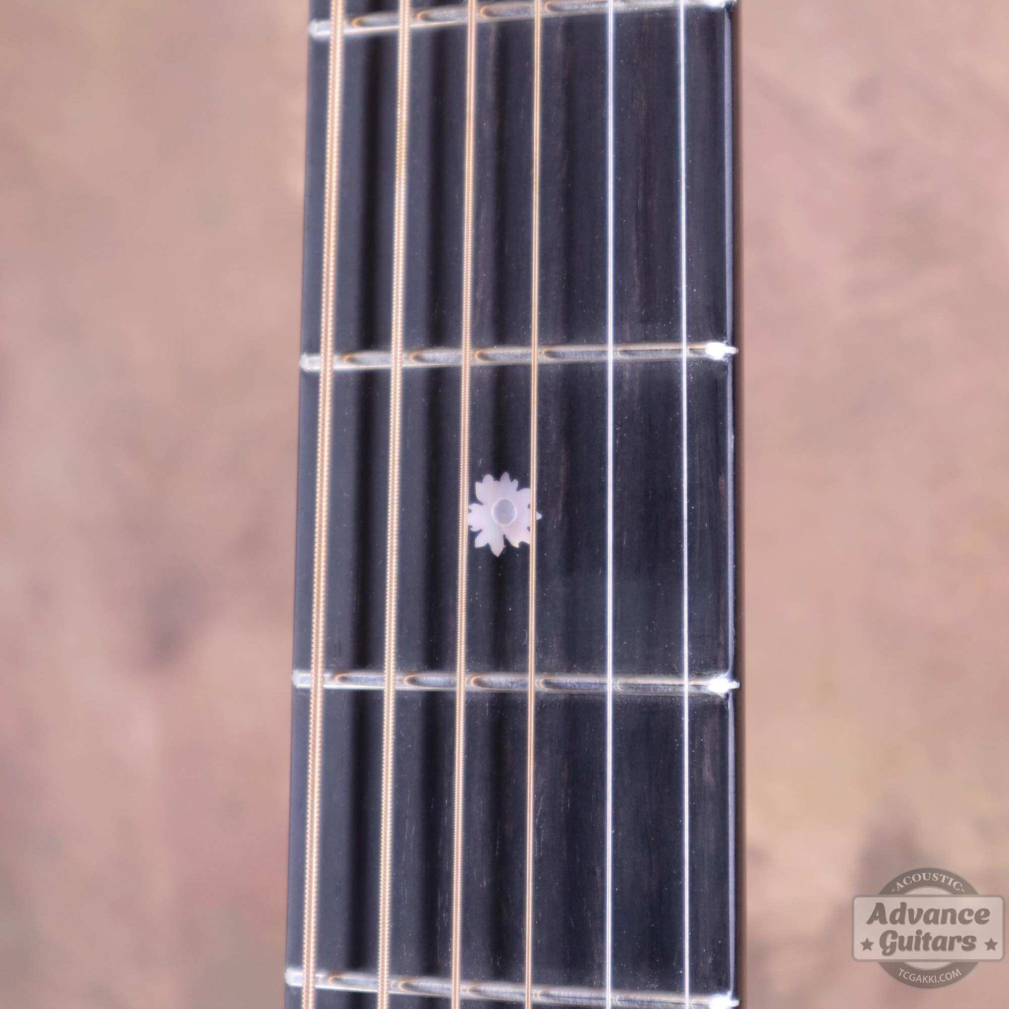 Flame Claro Walnut Dreadnought Advance Guitars Signature Model - TC楽器 - TCGAKKI