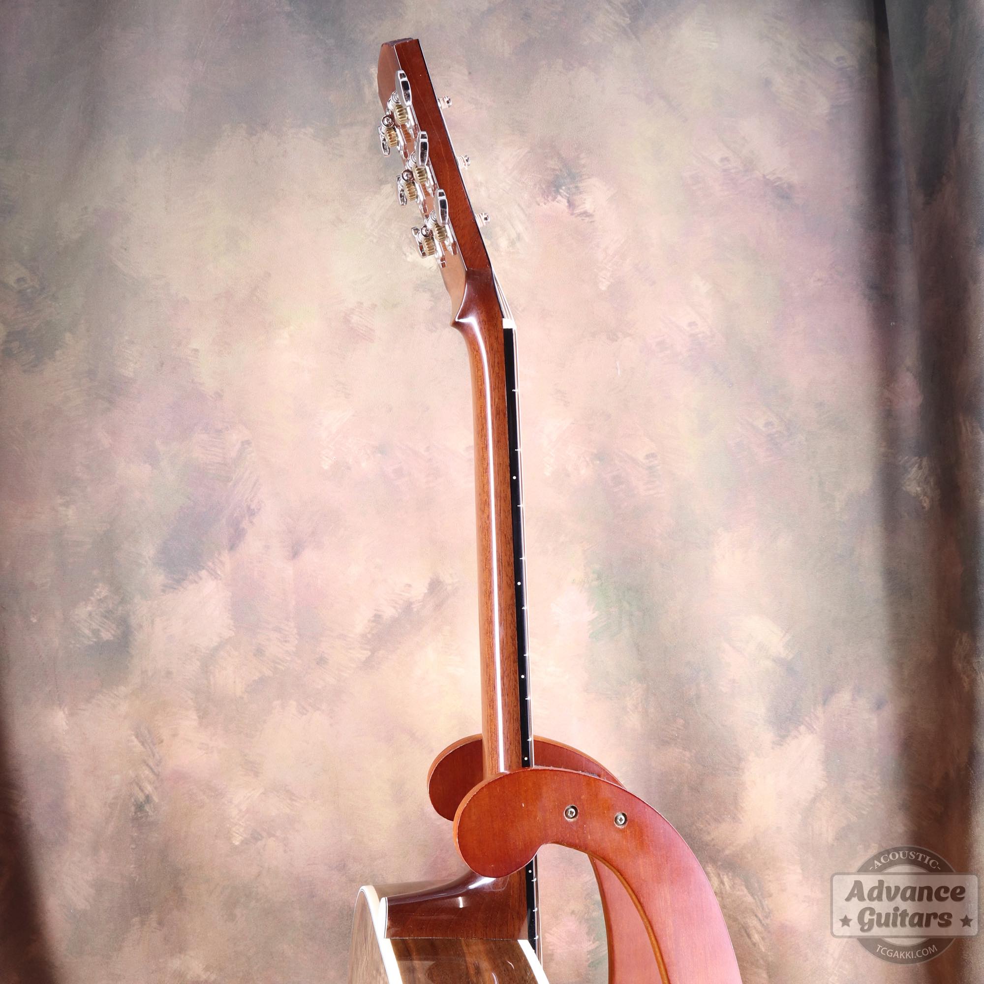 Flame Claro Walnut Dreadnought Advance Guitars Signature Model - TC楽器 - TCGAKKI
