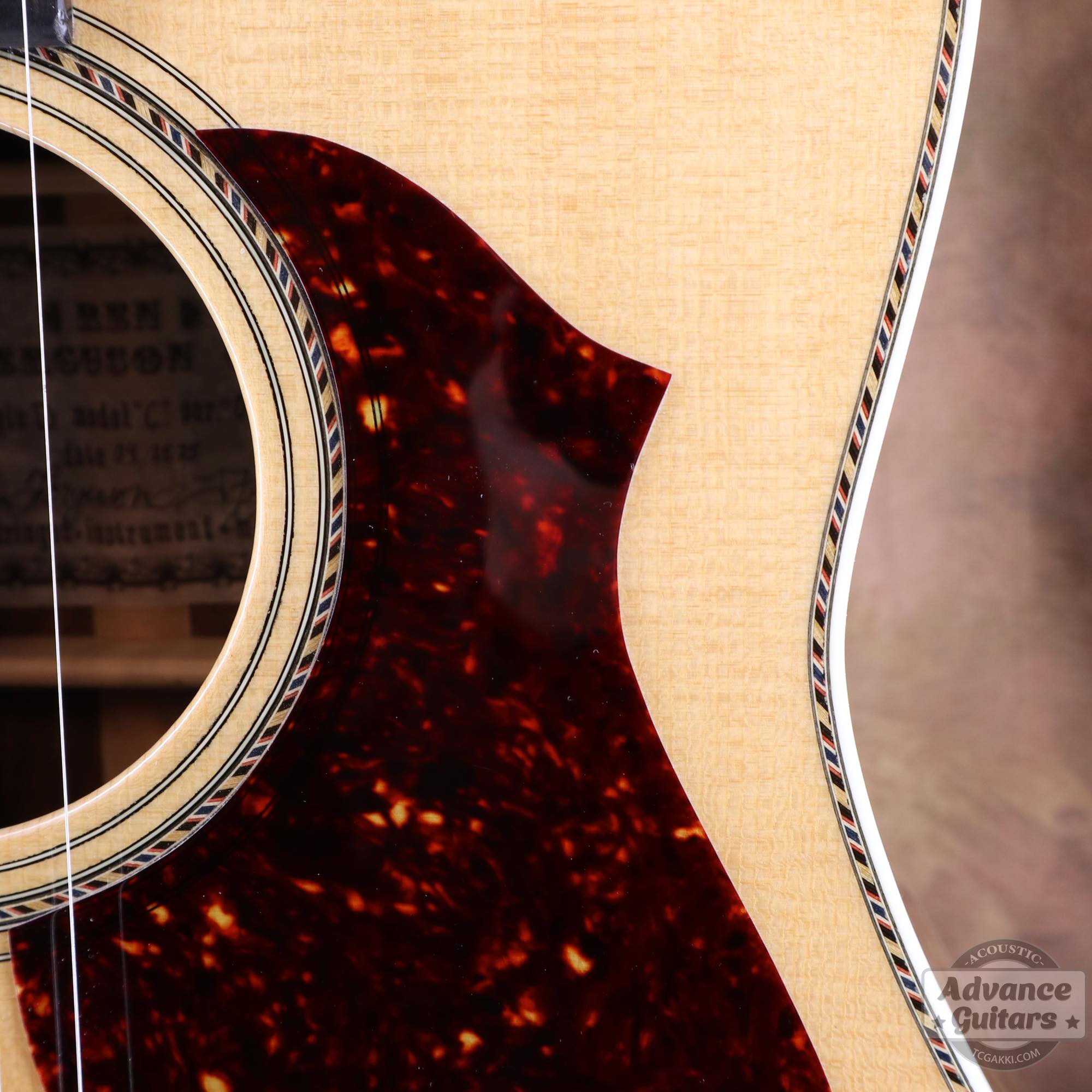 Flame Claro Walnut Dreadnought Advance Guitars Signature Model - TC楽器 - TCGAKKI