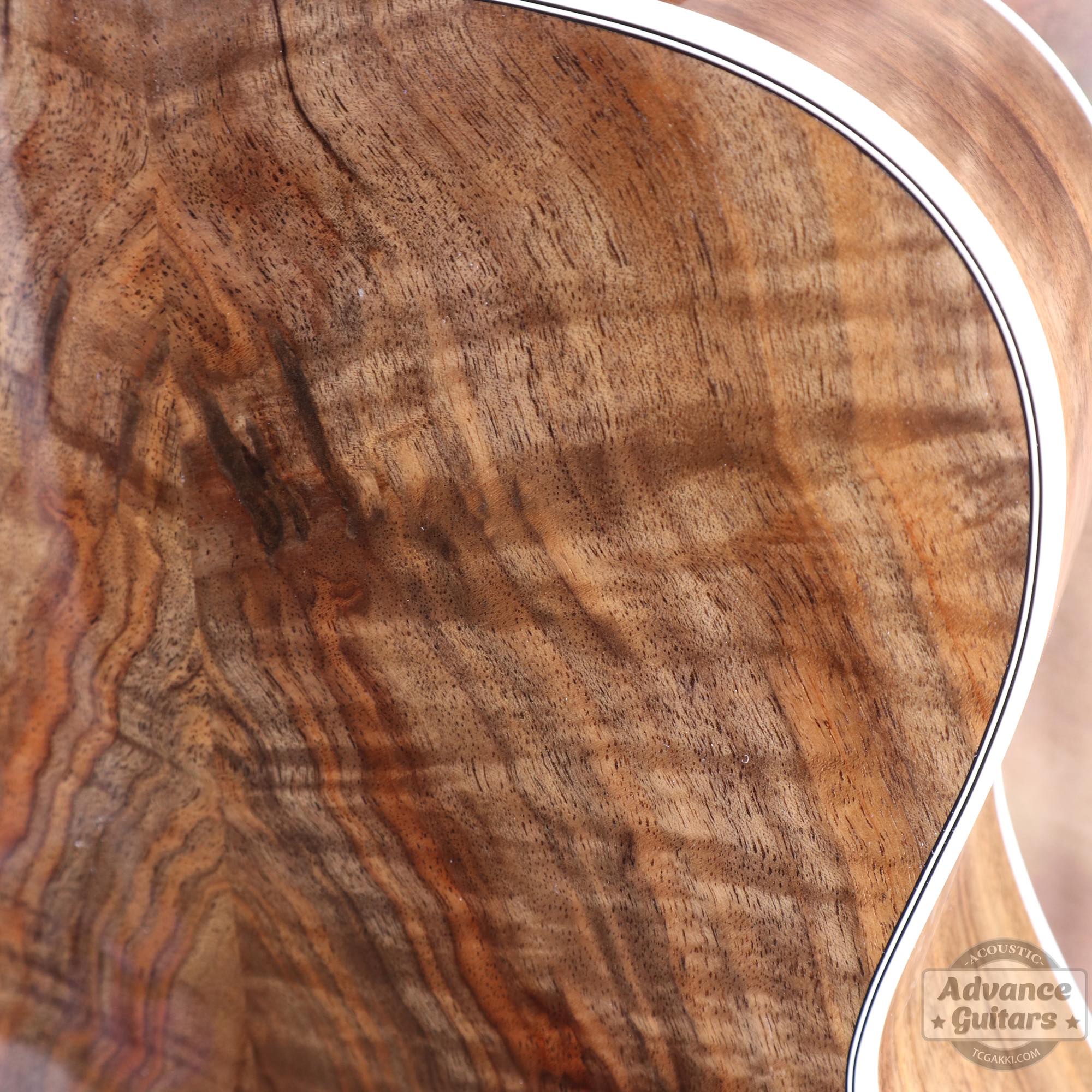 Flame Claro Walnut Dreadnought Advance Guitars Signature Model - TC楽器 - TCGAKKI