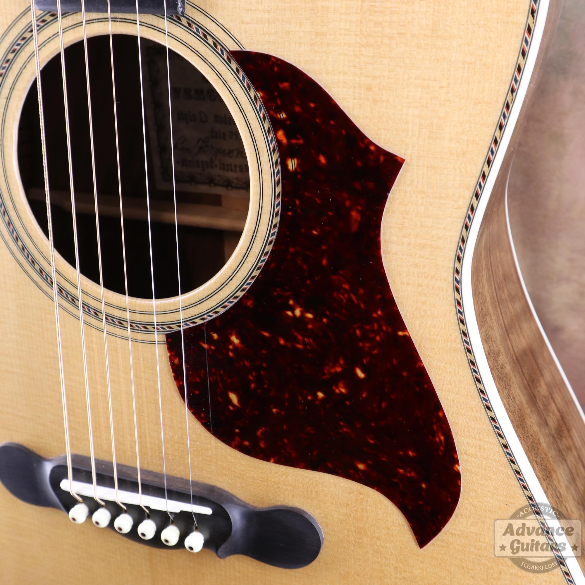 Flame Claro Walnut Dreadnought Advance Guitars Signature Model - TC楽器 - TCGAKKI