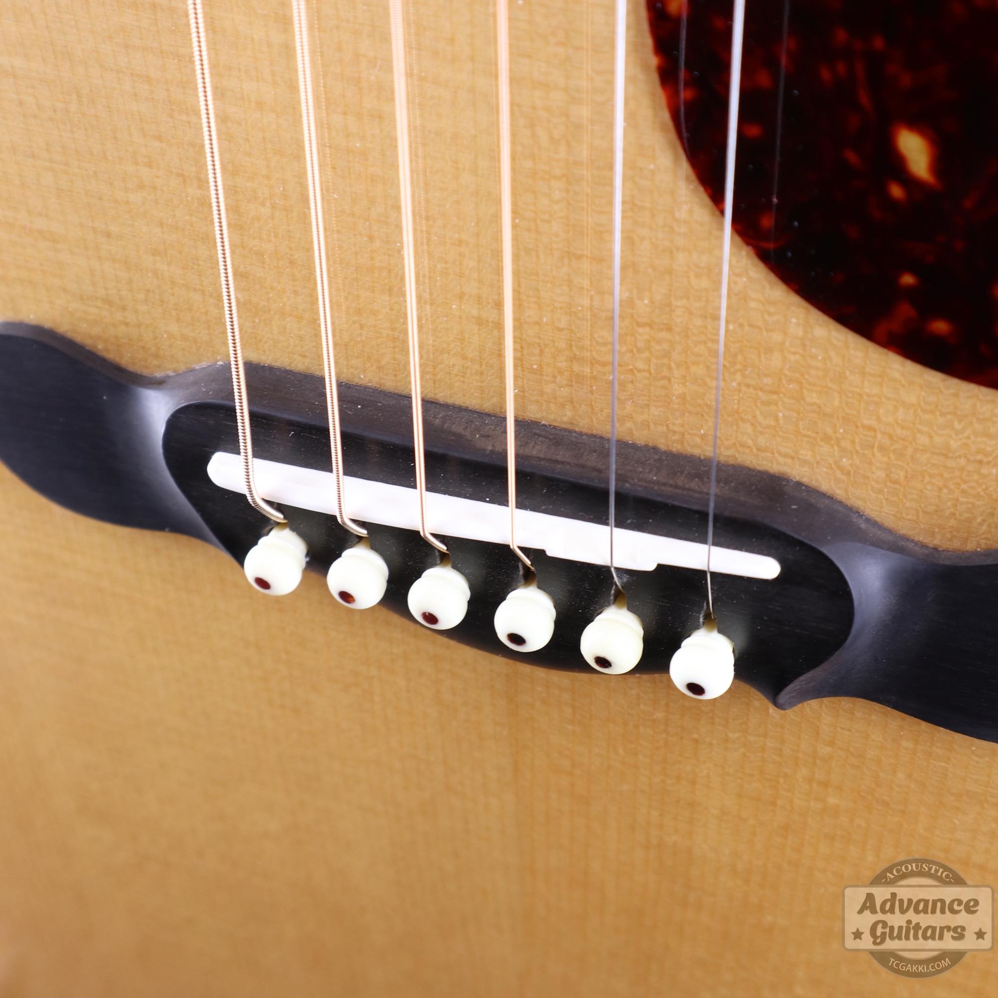 Flame Claro Walnut Dreadnought Advance Guitars Signature Model - TC楽器 - TCGAKKI