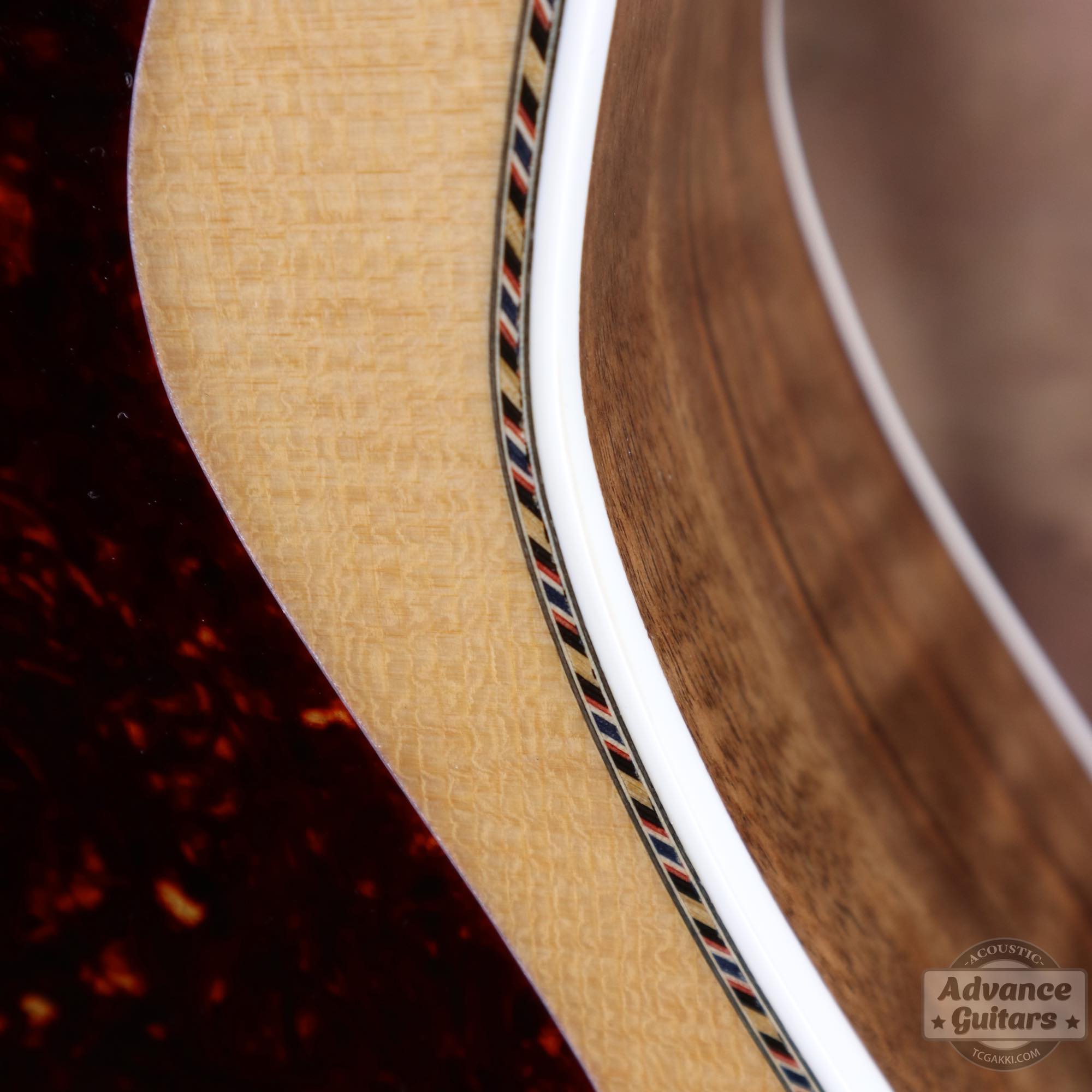 Flame Claro Walnut Dreadnought Advance Guitars Signature Model - TC楽器 - TCGAKKI
