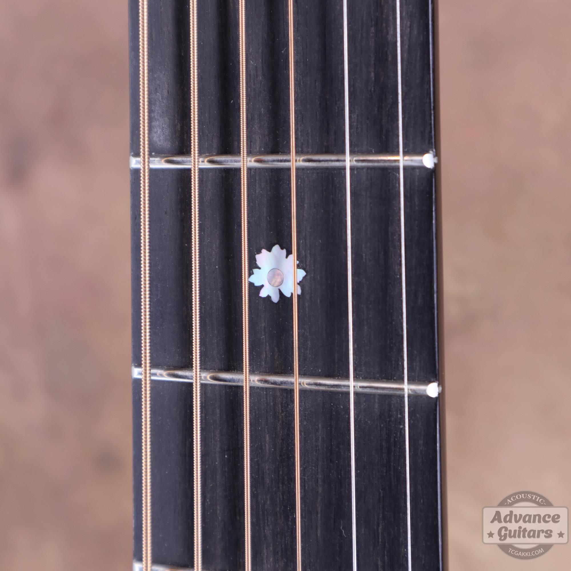 Flame Maple 985 Advance Guitars Signature - TC楽器 - TCGAKKI