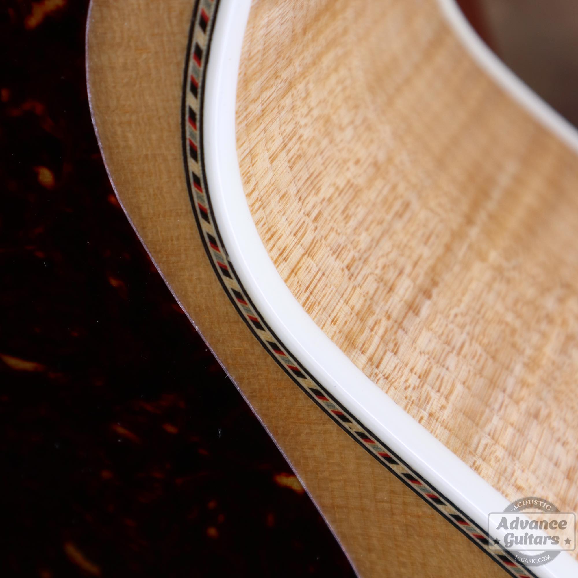 Flame Maple 985 Advance Guitars Signature - TC楽器 - TCGAKKI
