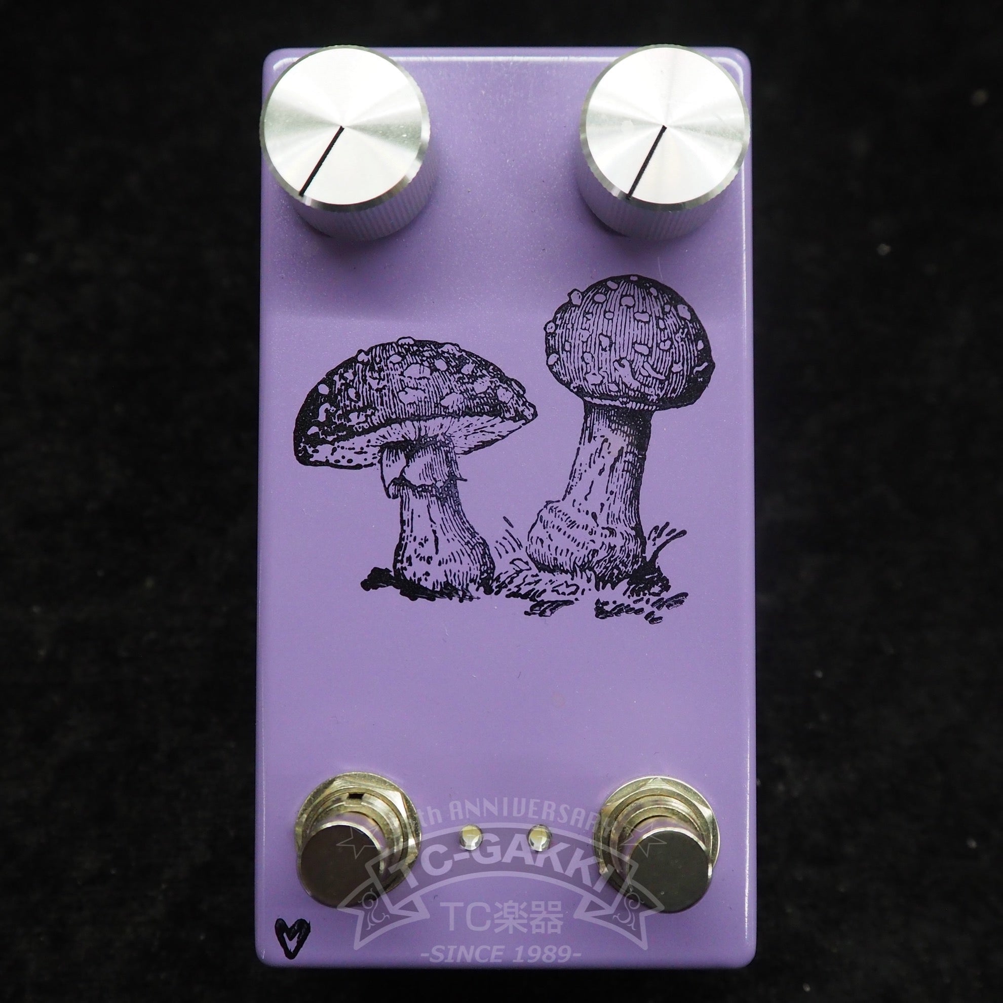 FLY AGARIC - TC楽器 - TCGAKKI