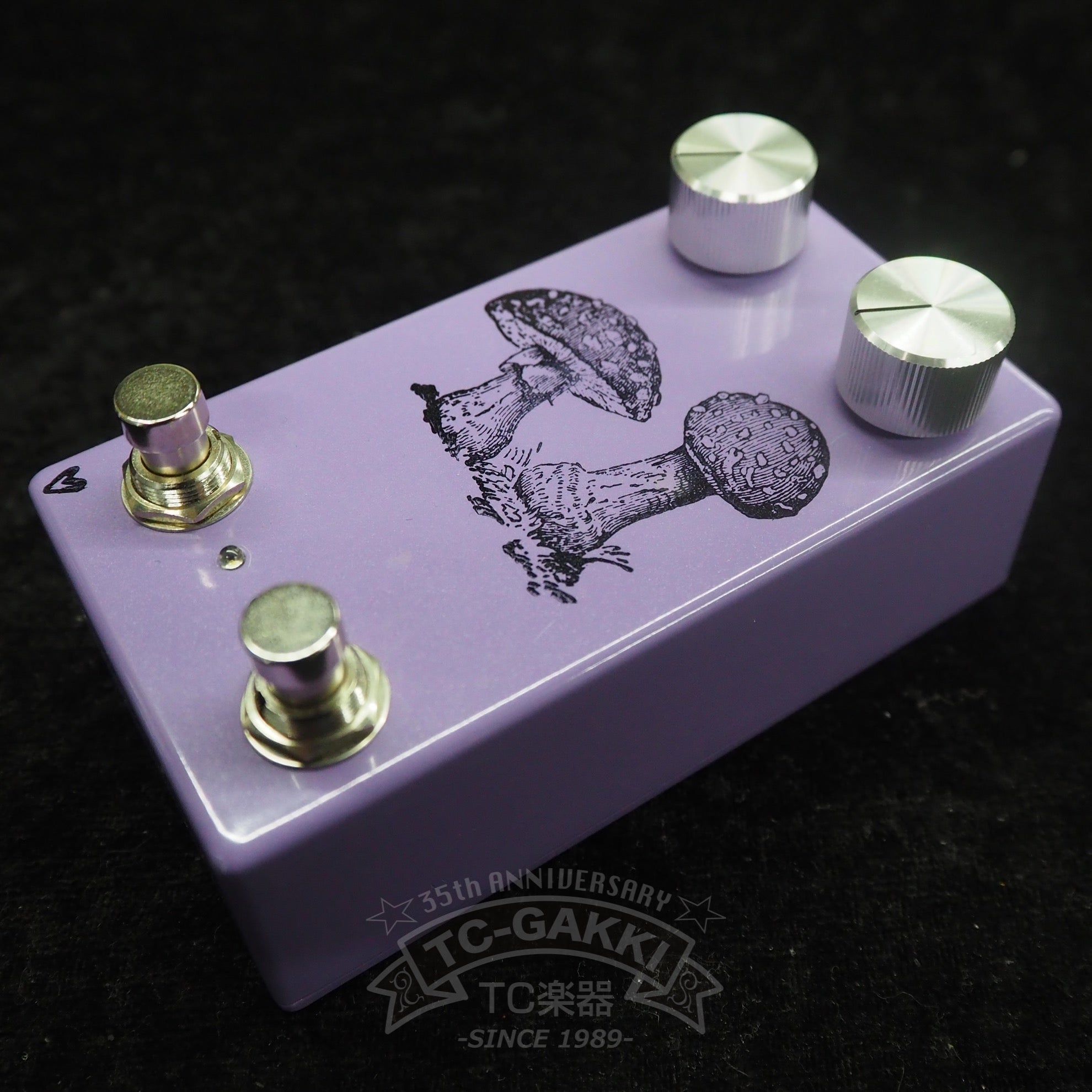 FLY AGARIC - TC楽器 - TCGAKKI