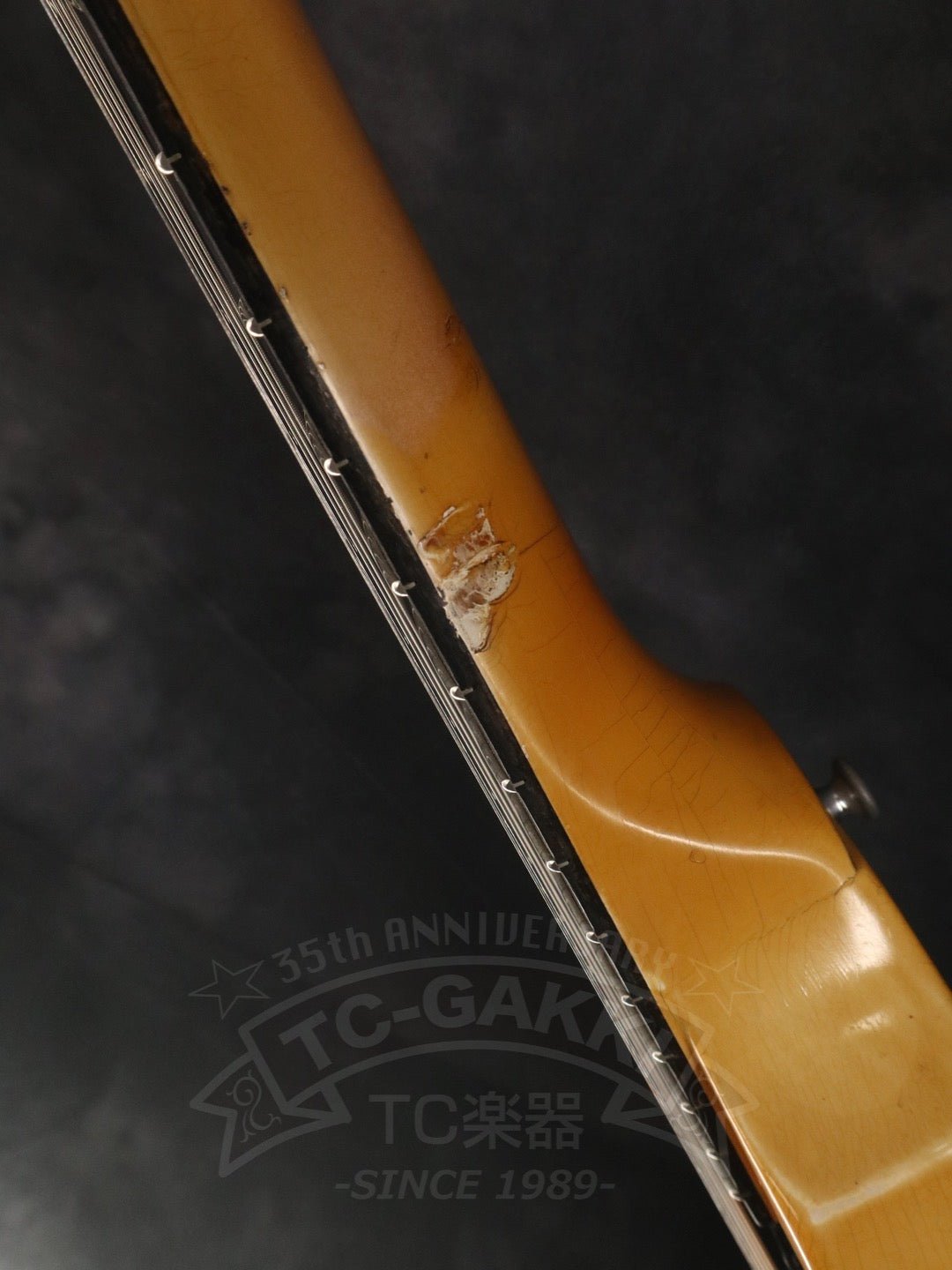 Flying V - TC楽器 - TCGAKKI