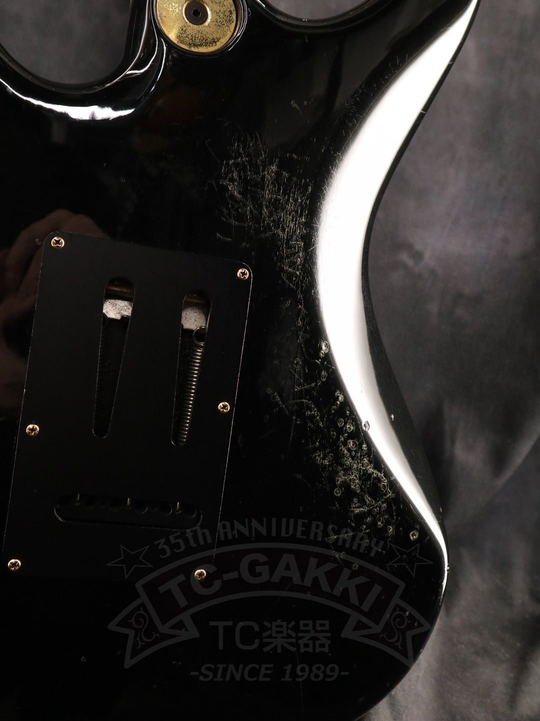 Freedom Custom Guitar Research HYDRA 2point - 24F - TC楽器 - TCGAKKI
