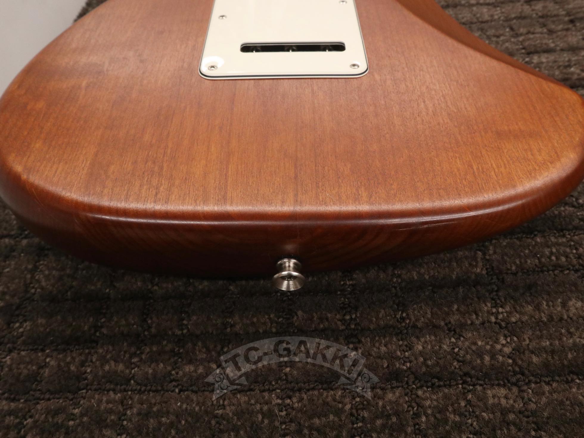FSR American Special Stratocaster Stain - TC楽器 - TCGAKKI