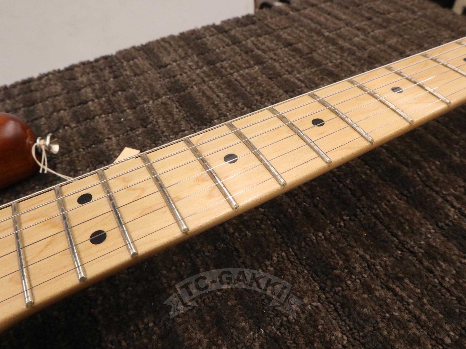 FSR American Special Stratocaster Stain - TC楽器 - TCGAKKI