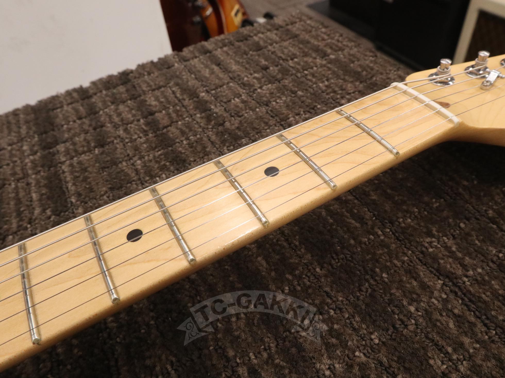 FSR American Special Stratocaster Stain - TC楽器 - TCGAKKI
