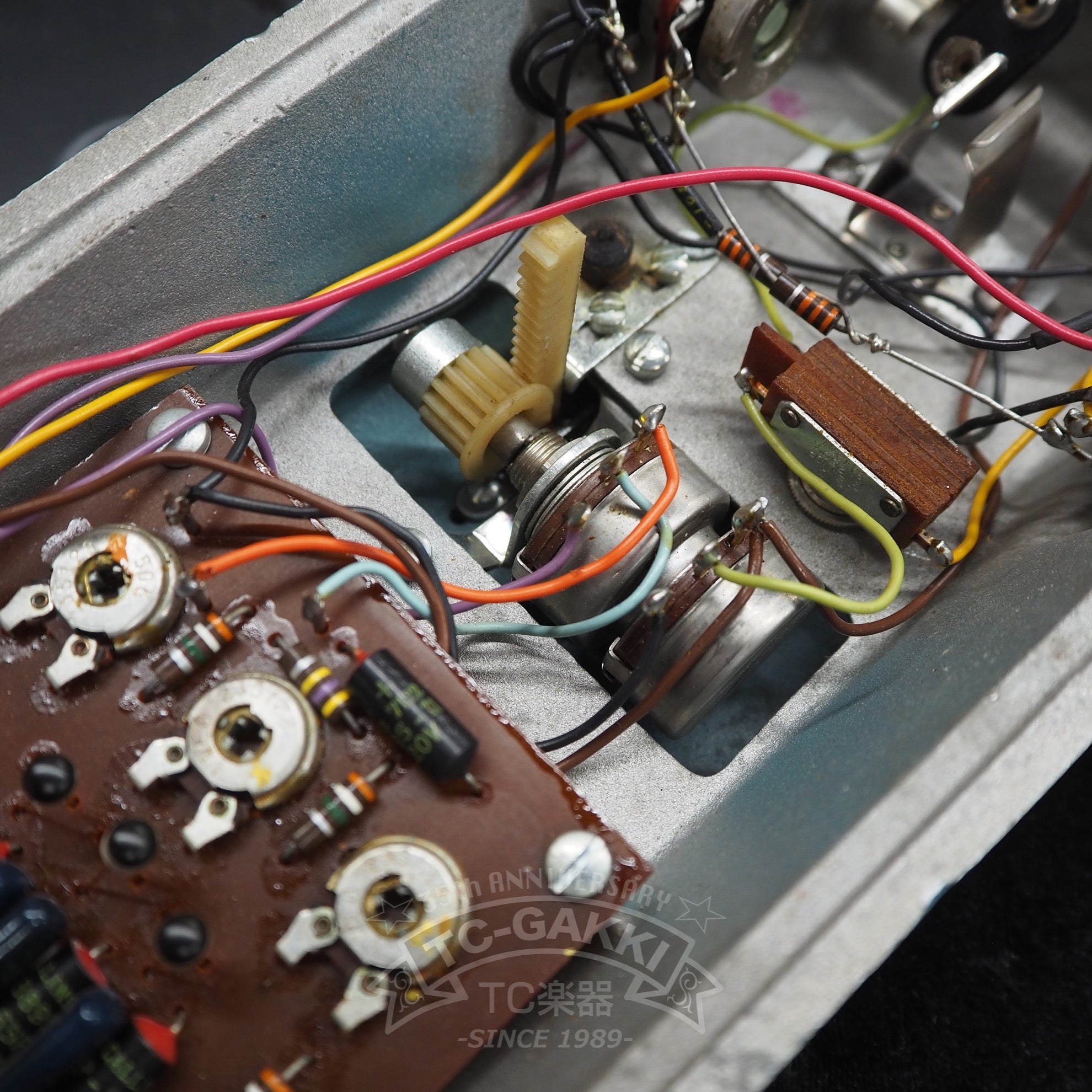 FUZZ PHAZZER FP - 1 - TC楽器 - TCGAKKI