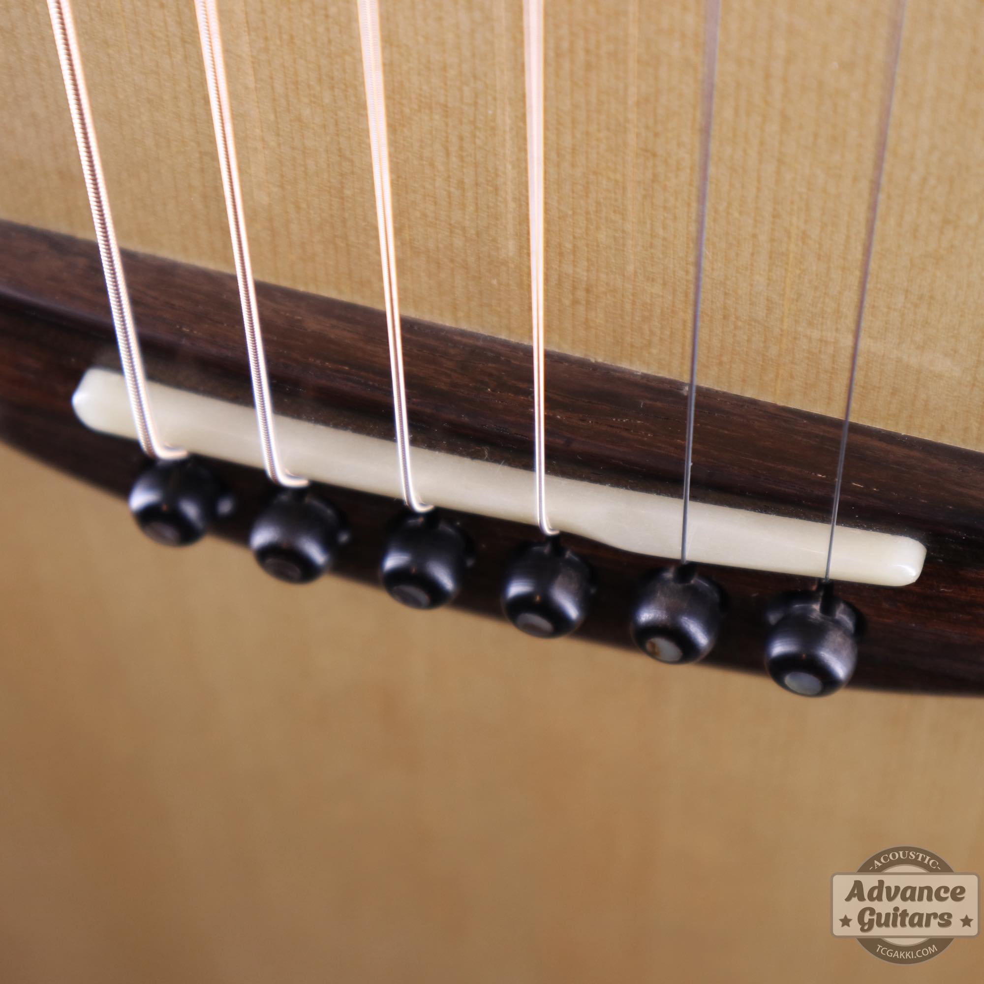 GA - TC楽器 - TCGAKKI