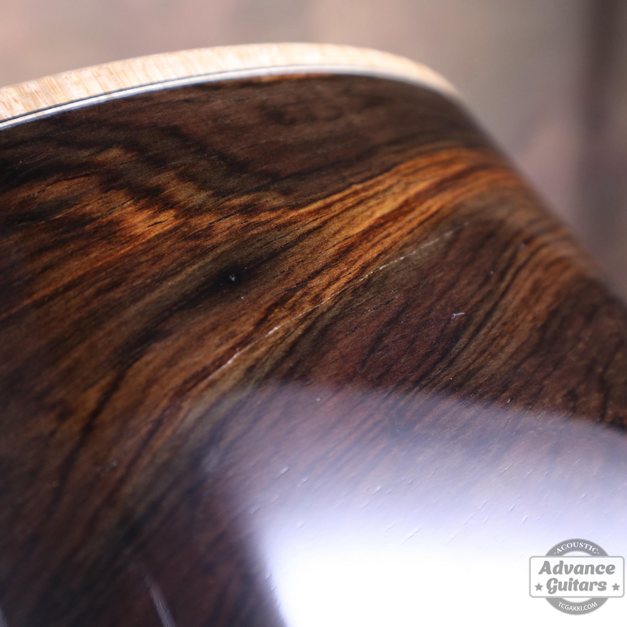 GA - TC楽器 - TCGAKKI